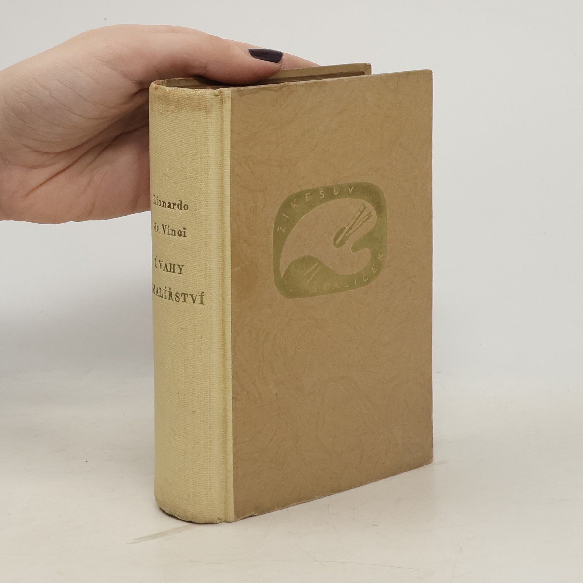 F. Topinka Úvahy o malířství