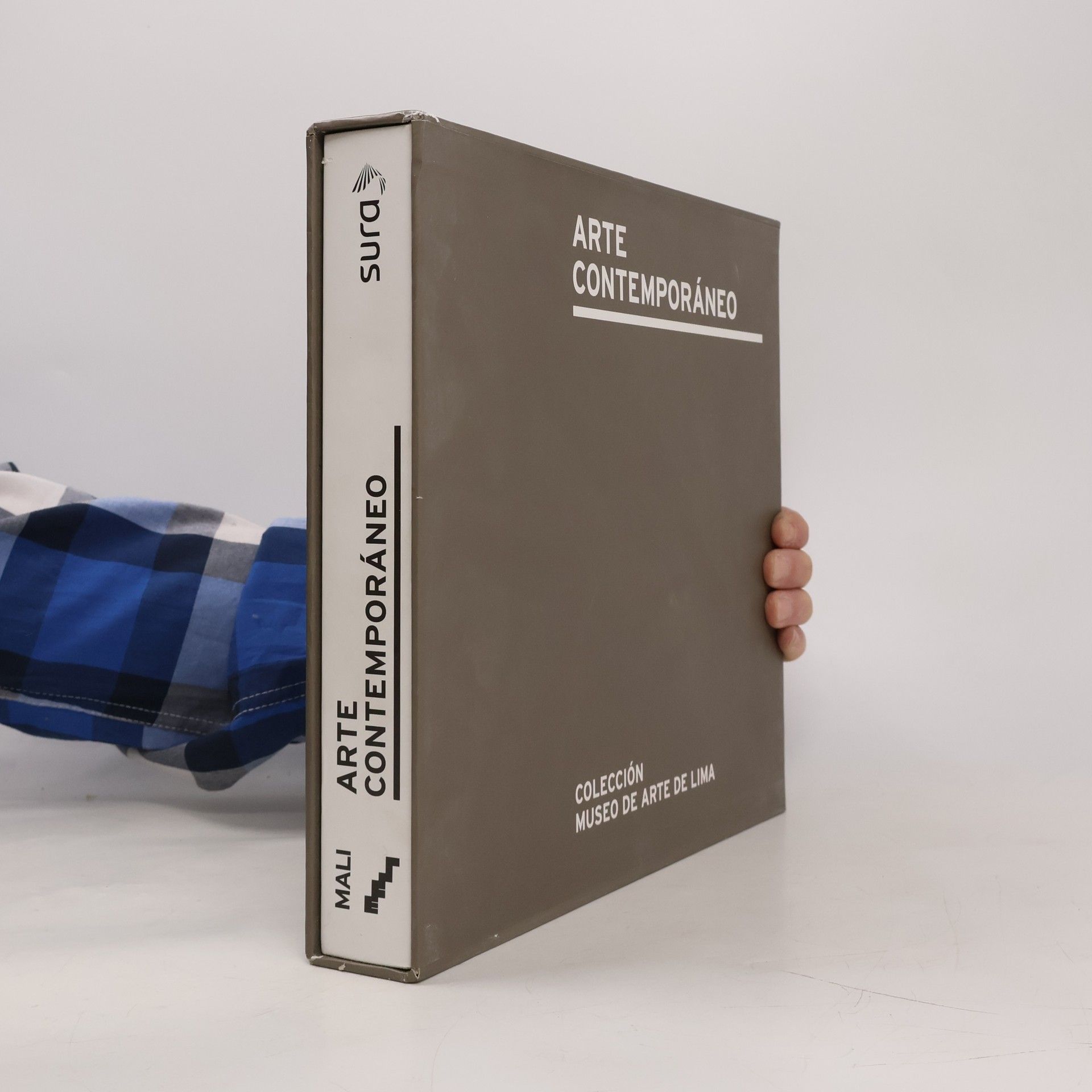 Museo de Arte de Lima Arte contemporáneo