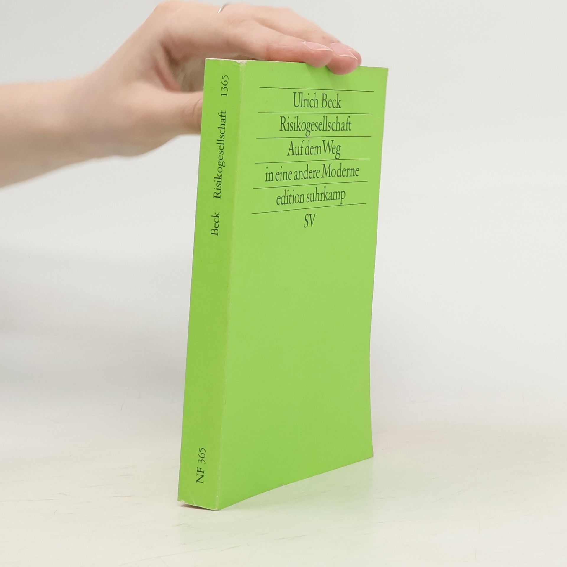 Ulrich Beck Risikogesellschaft