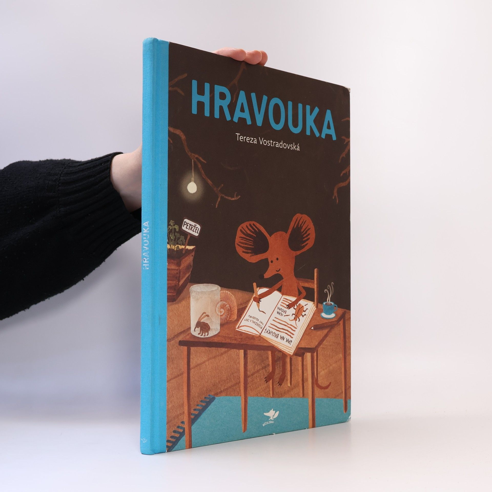 Tereza Vostradovská Hravouka