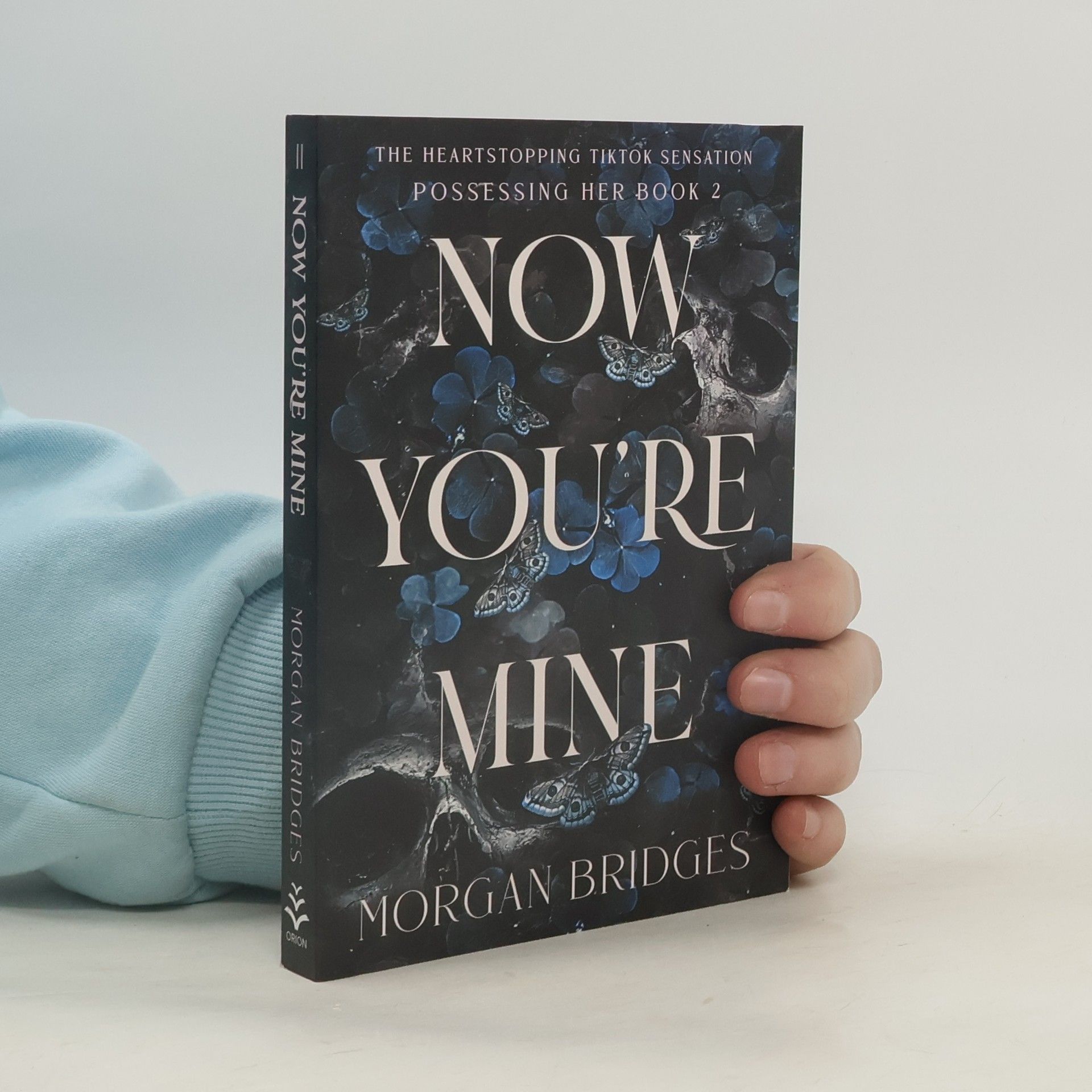 Morgan Bridges Now You're Mine