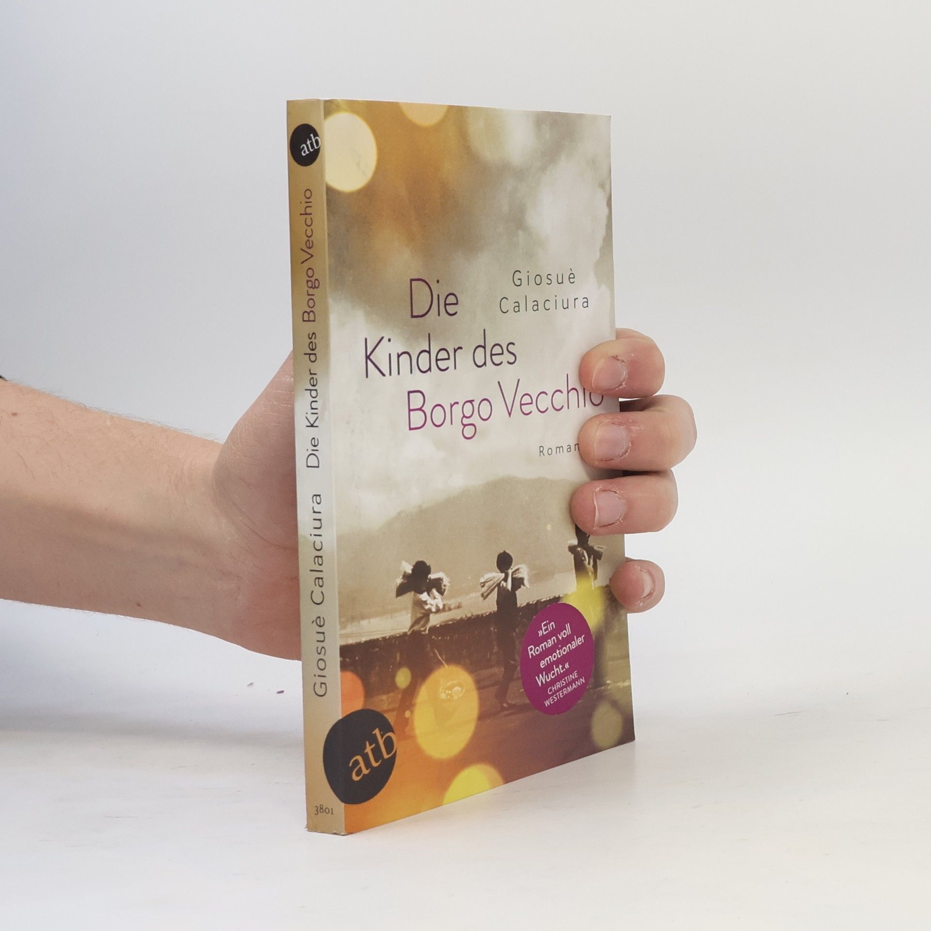 Giosuè Calaciura Die Kinder des Borgo Vecchio