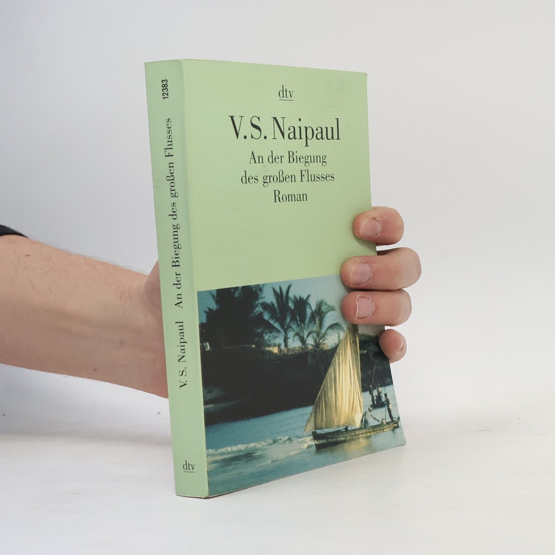 V. S. Naipaul An der Biegung des großen Flusses