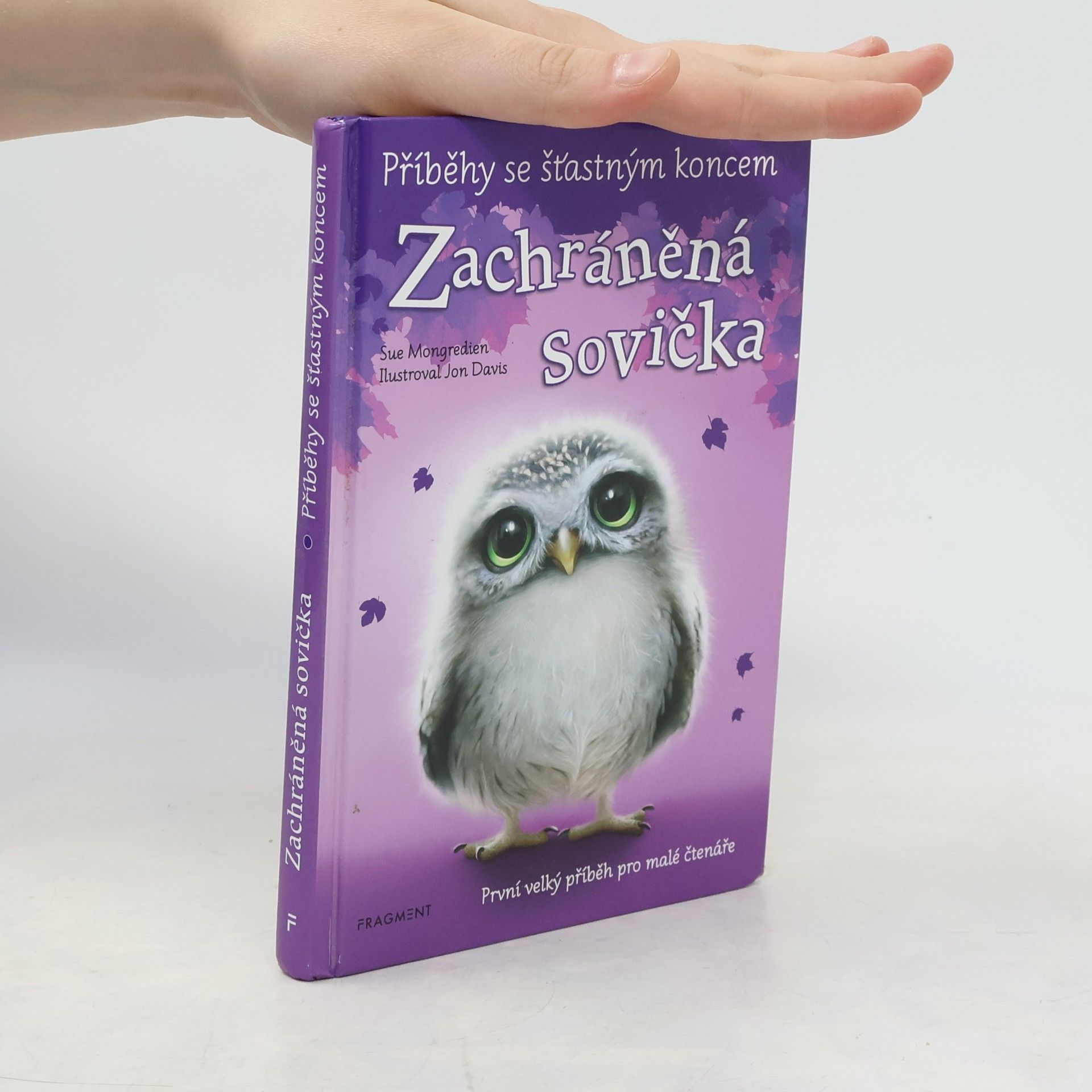 Eva Brožová Zachráněná sovička