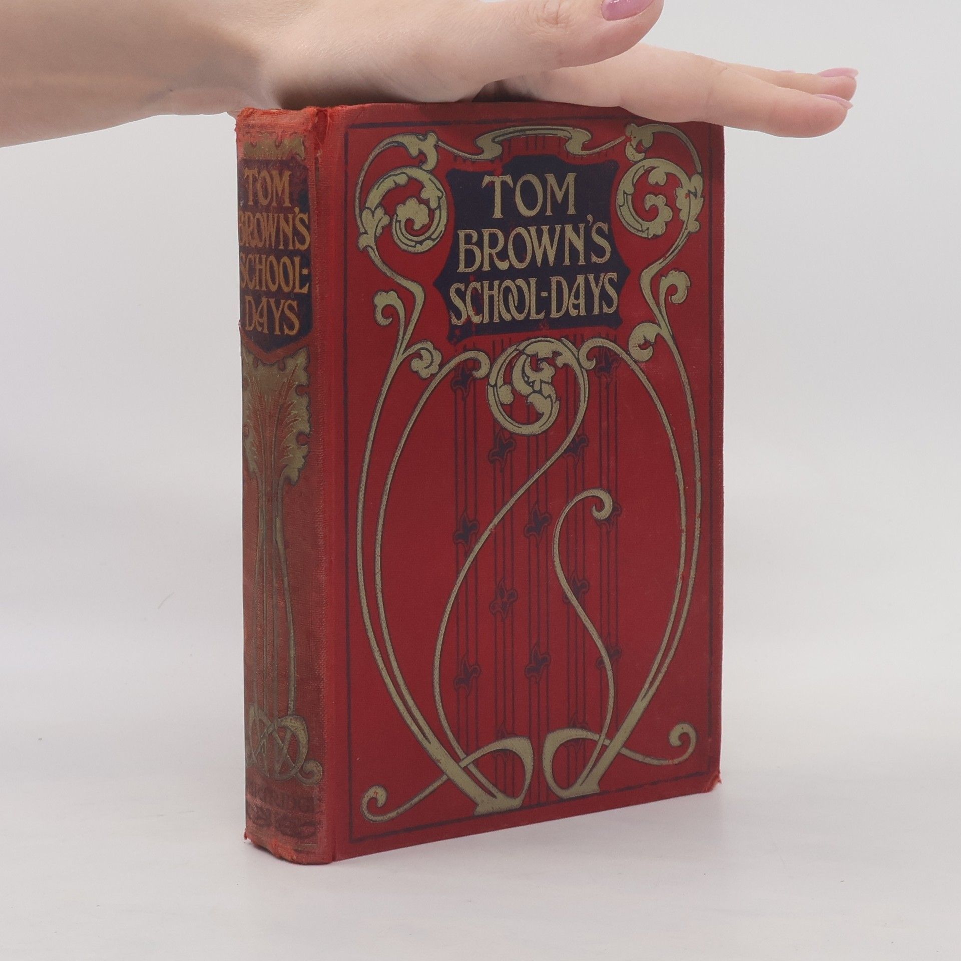 Thomas P. Hughes Tom Brown's School Days