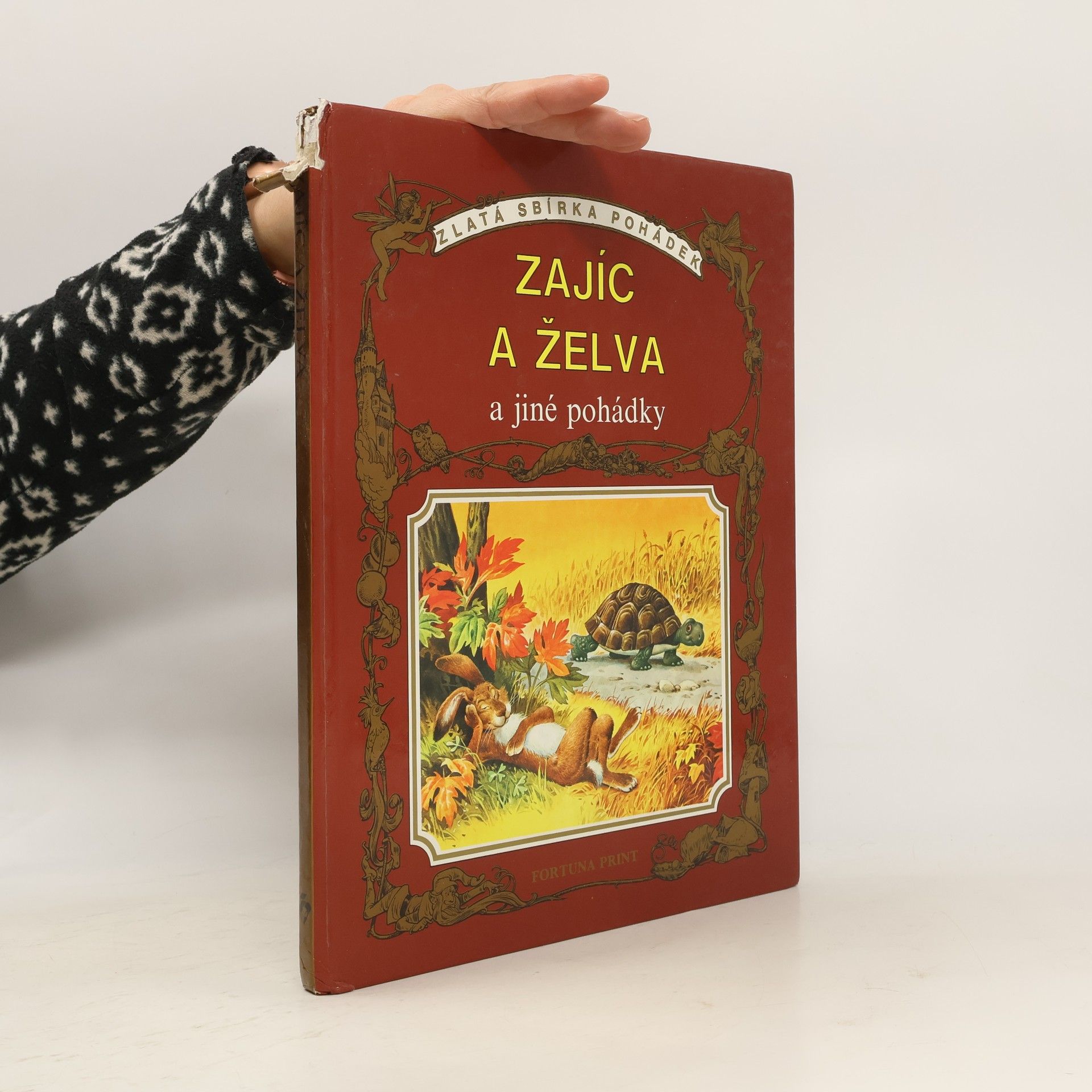 Kolektiv autorů Zajíc a želva a jiné pohádky
