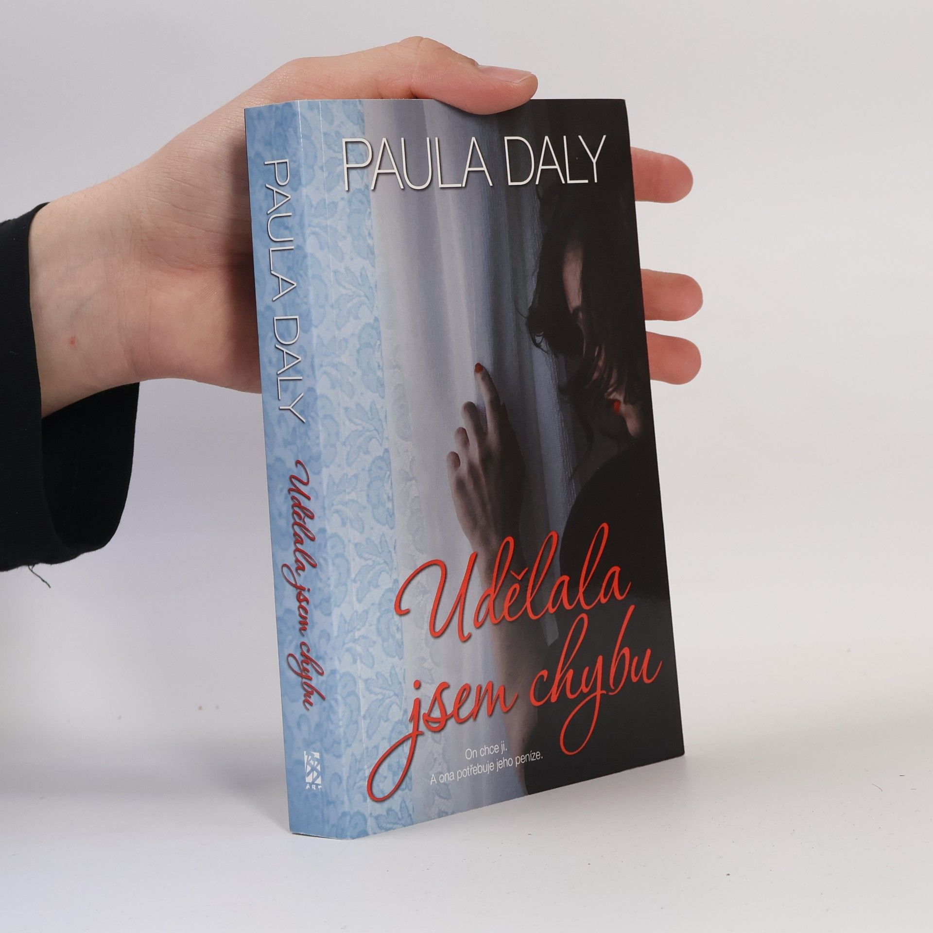 Paula Daly Udělala jsem chybu