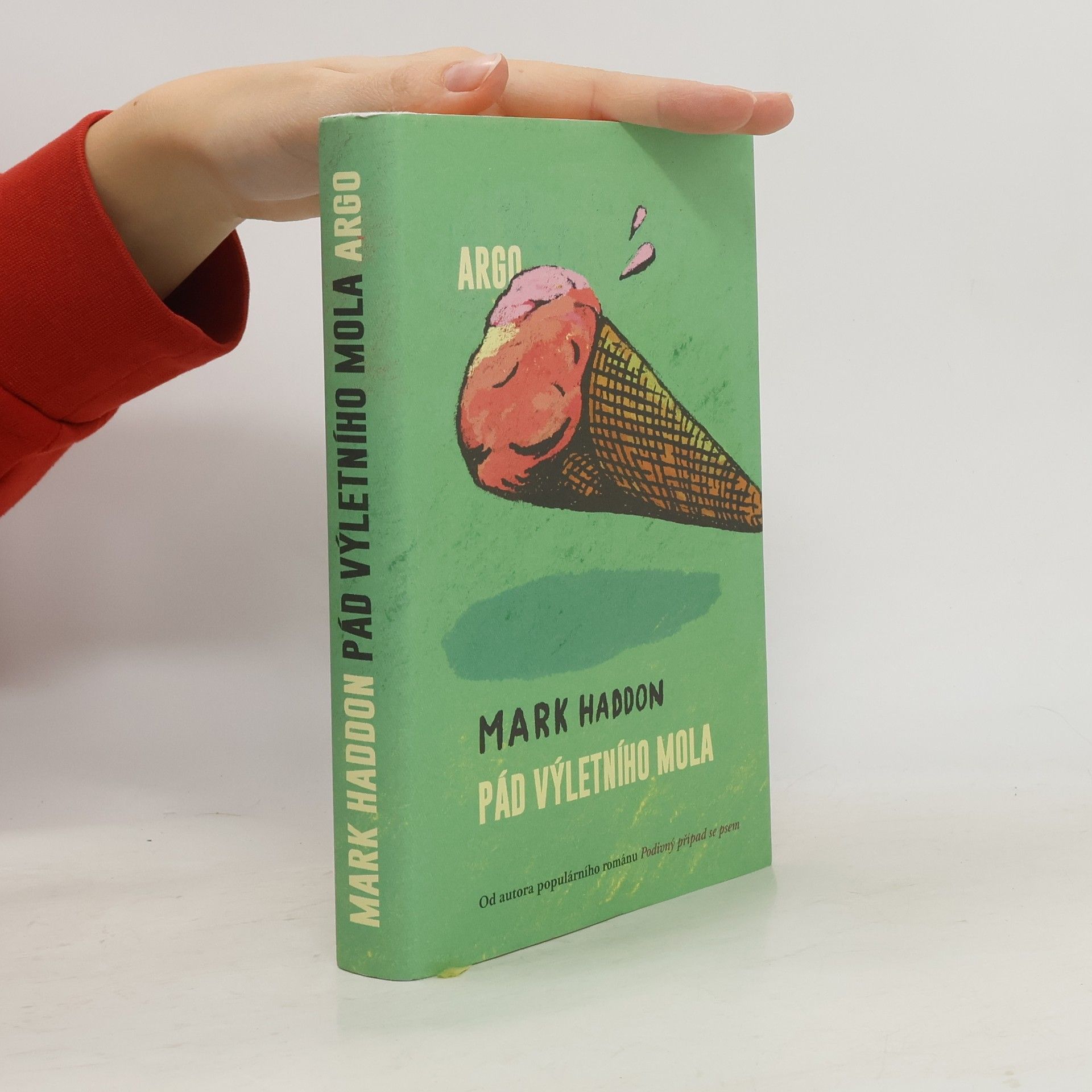 Mark Haddon Pád výletního mola