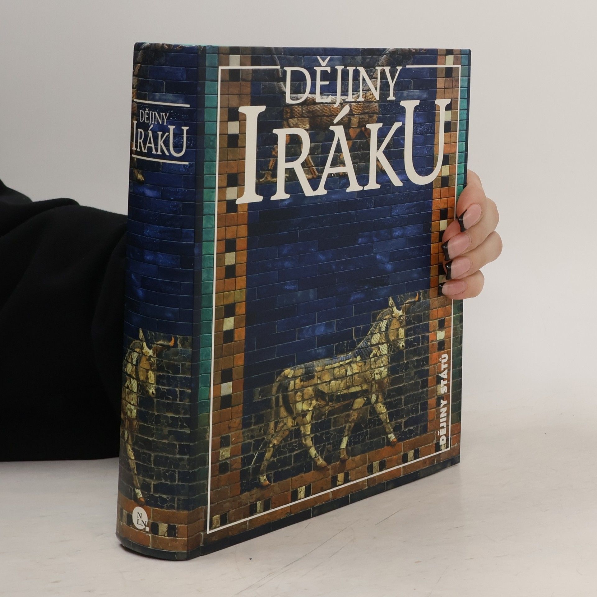 Eduard Gombár Dějiny Iráku