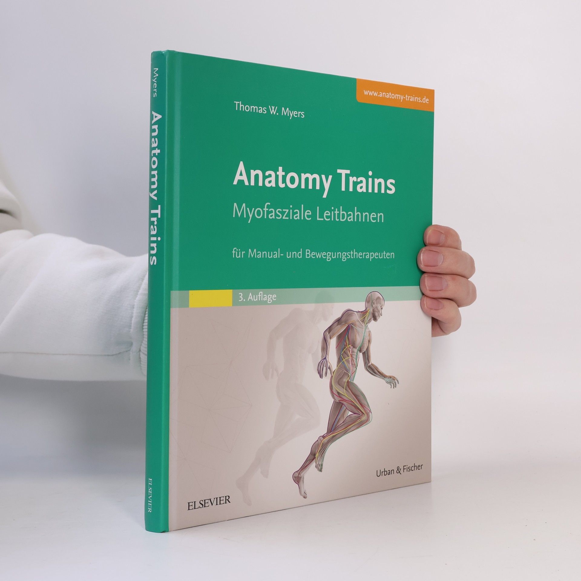 Thomas W. Myers Anatomy trains