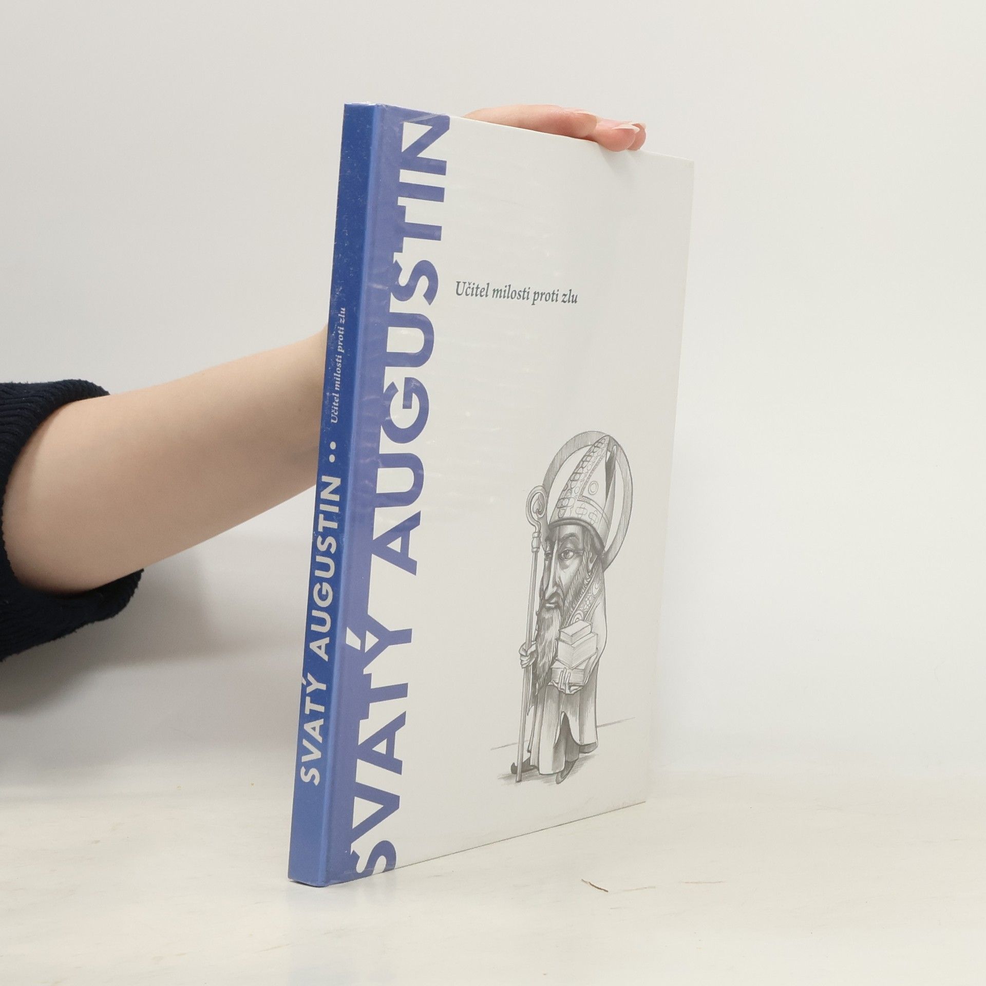 Autorenkollektiv Svatý Augustin. Učitel milosti proti zlu
