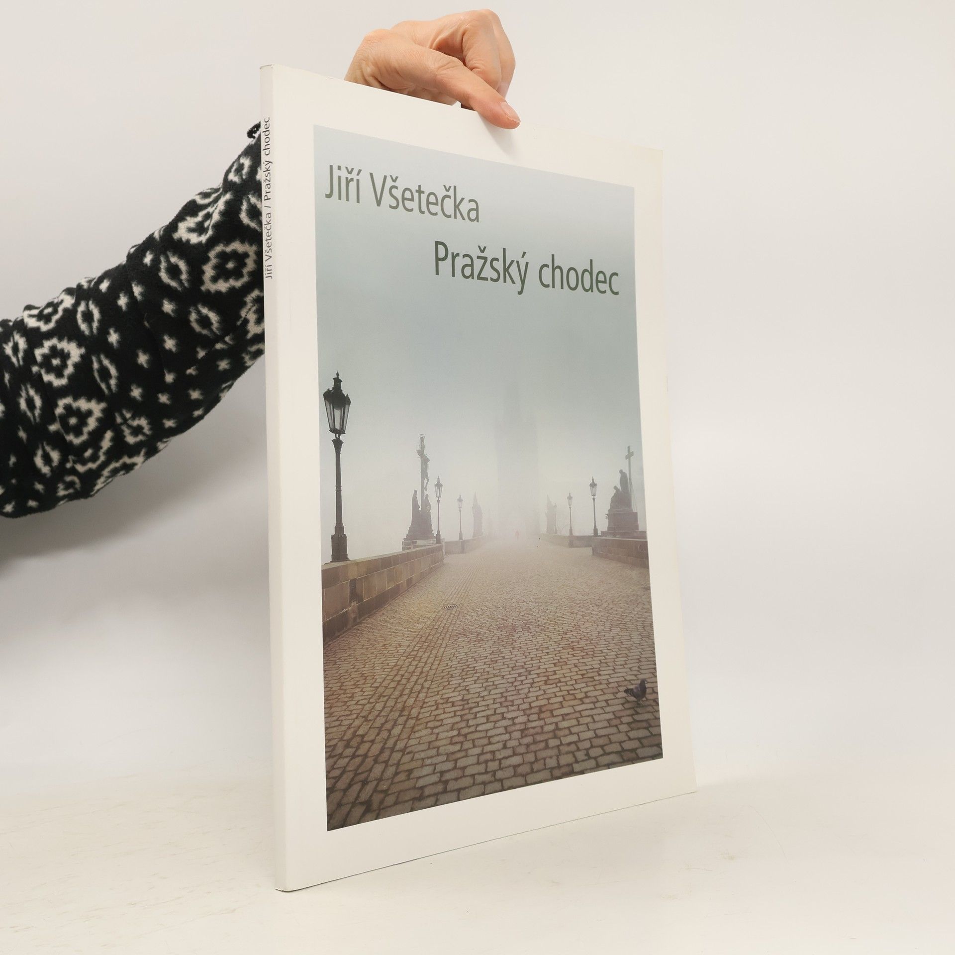 Jiří Všetečka Pražský chodec