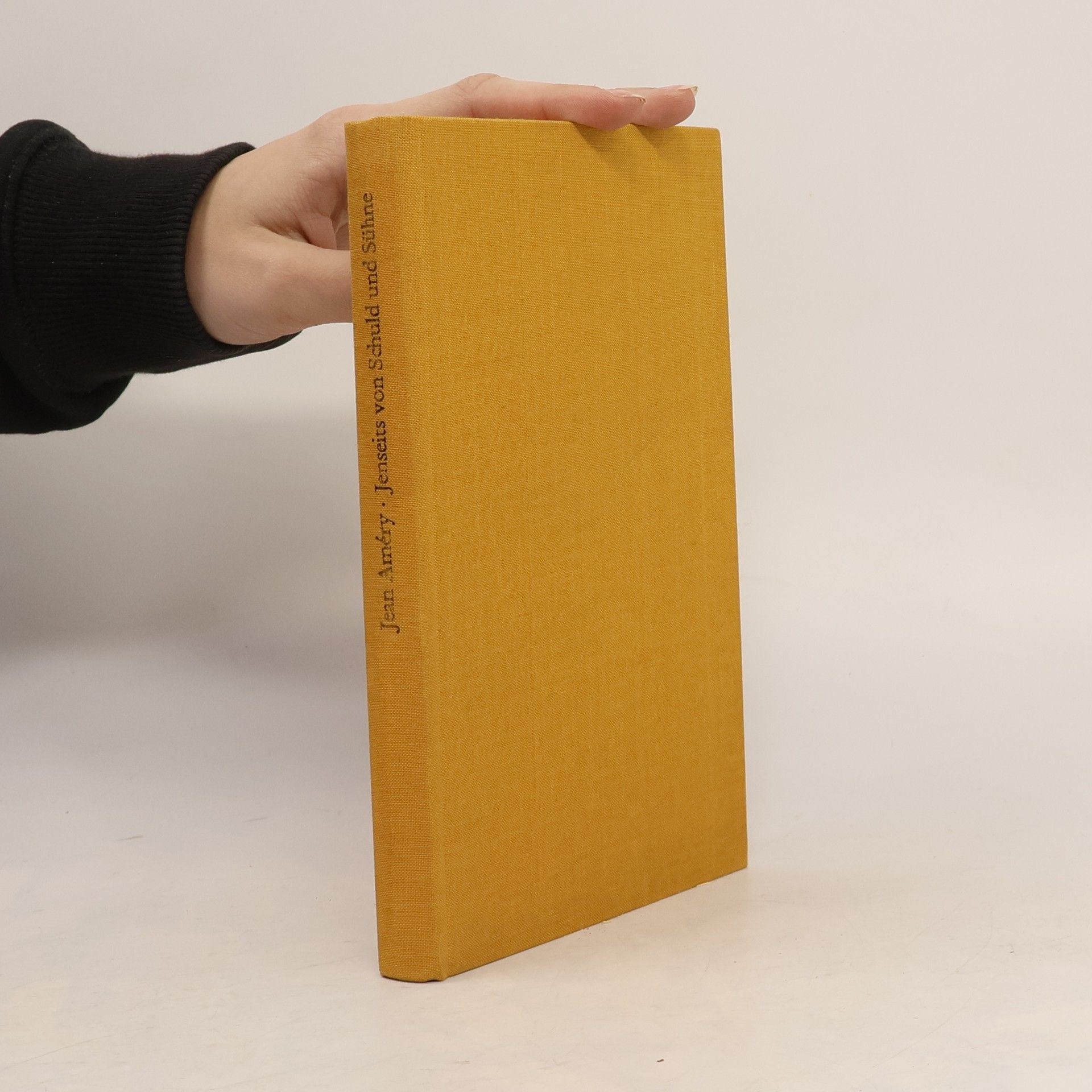 Jean Améry Jenseits von Schuld und Sühne