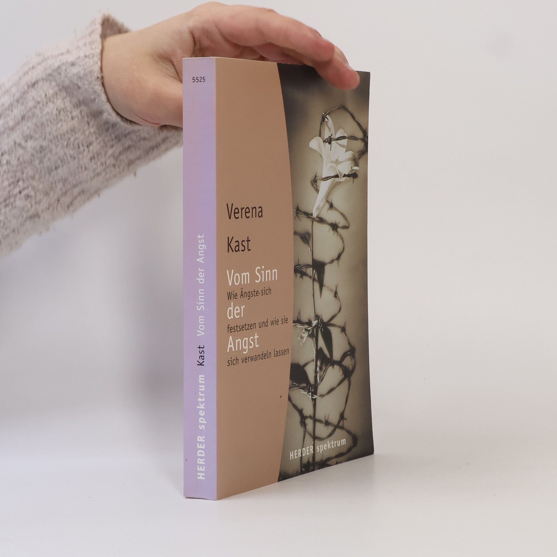 Verena Kast Vom Sinn der Angst