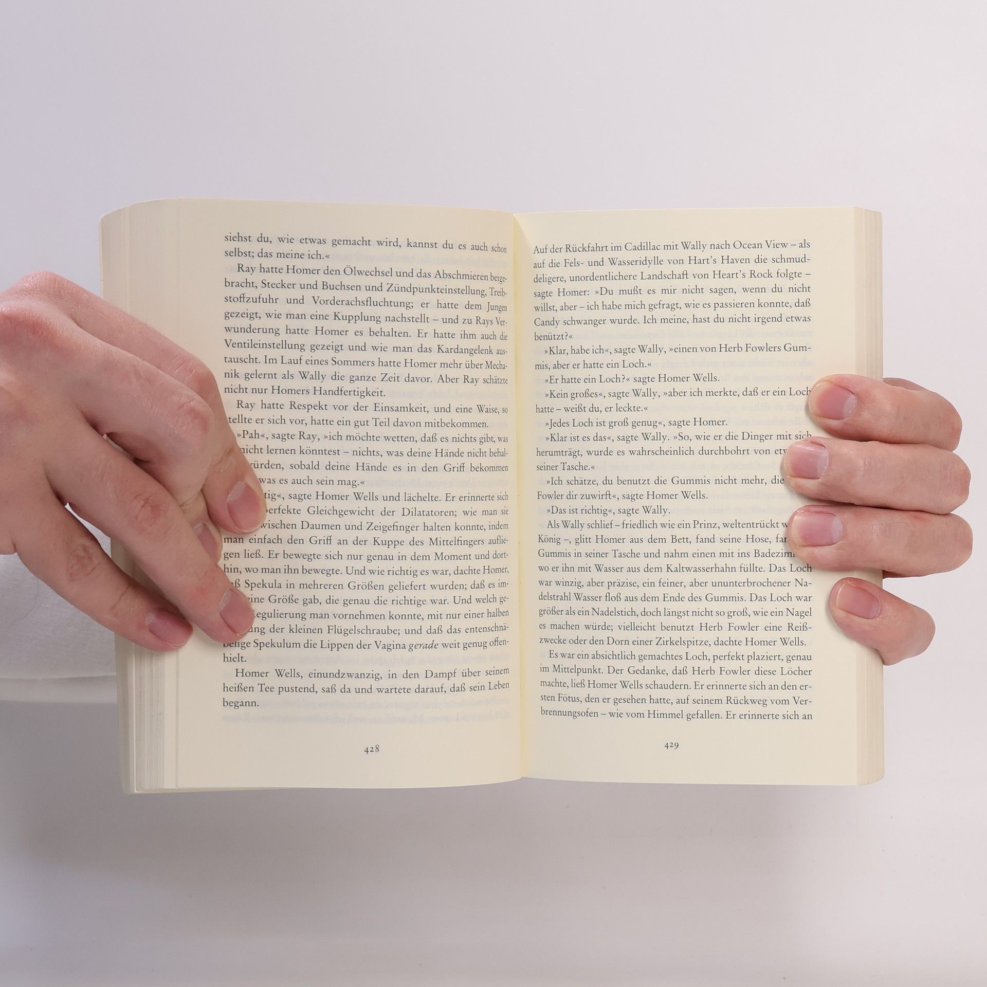 John Irving Gottes Werk und Teufels Beitrag