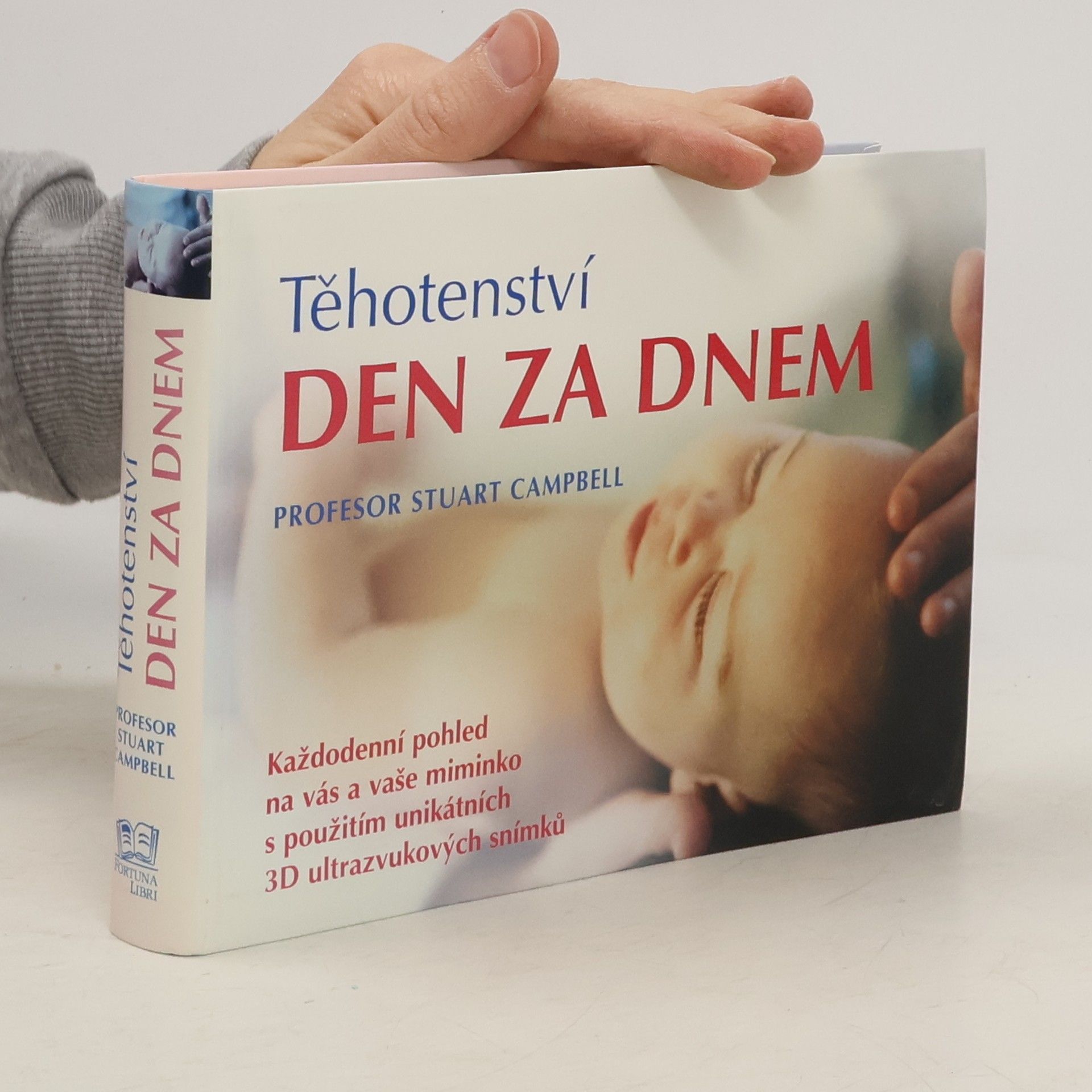 Těhotenství den za dnem