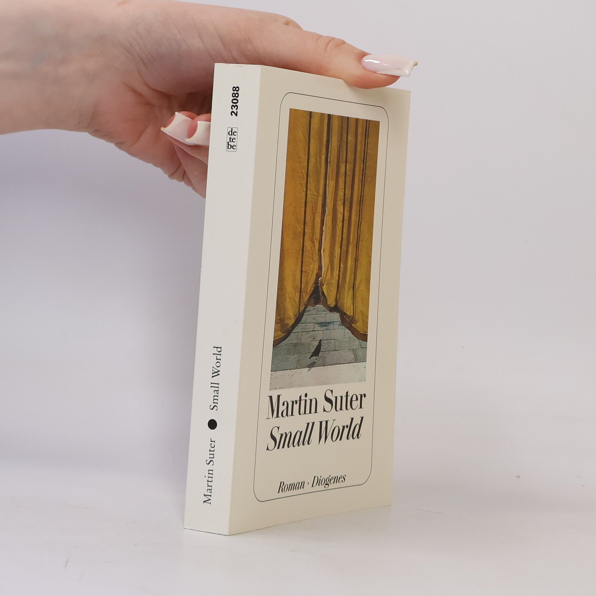 Martin Suter Small World