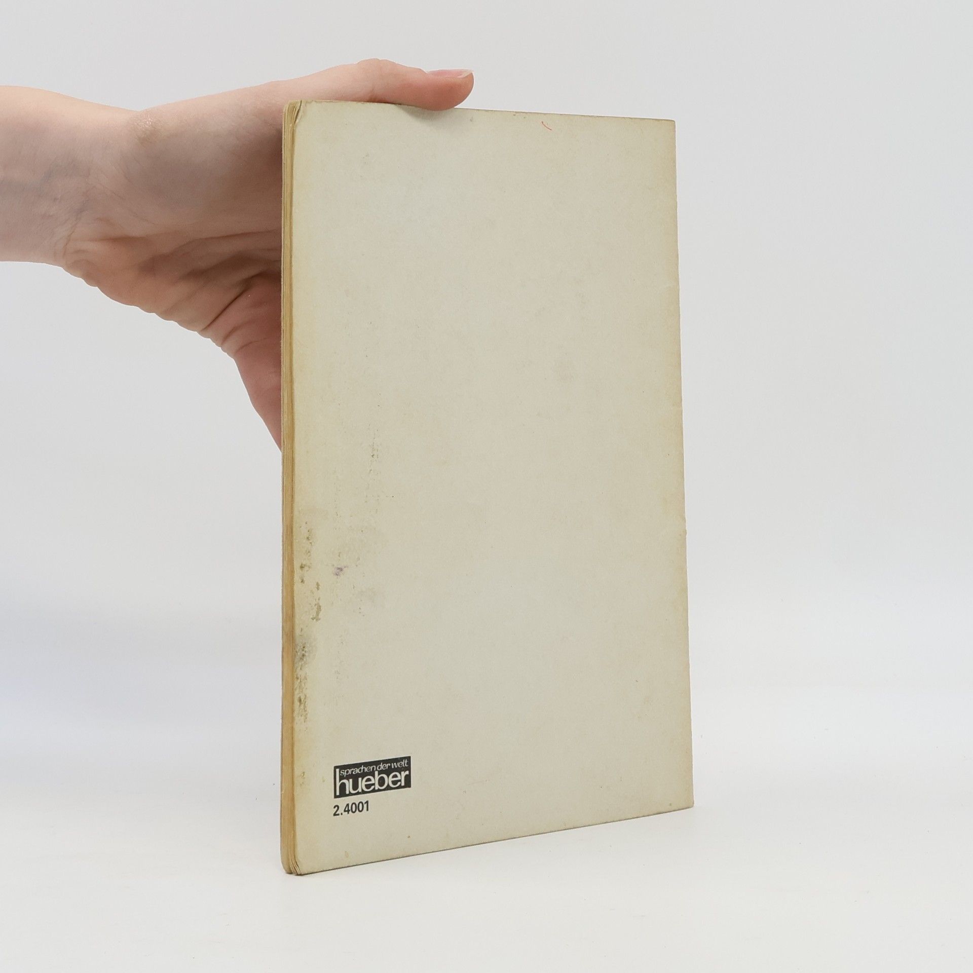 Gerhard Lepiorz Weltsprache Spanisch