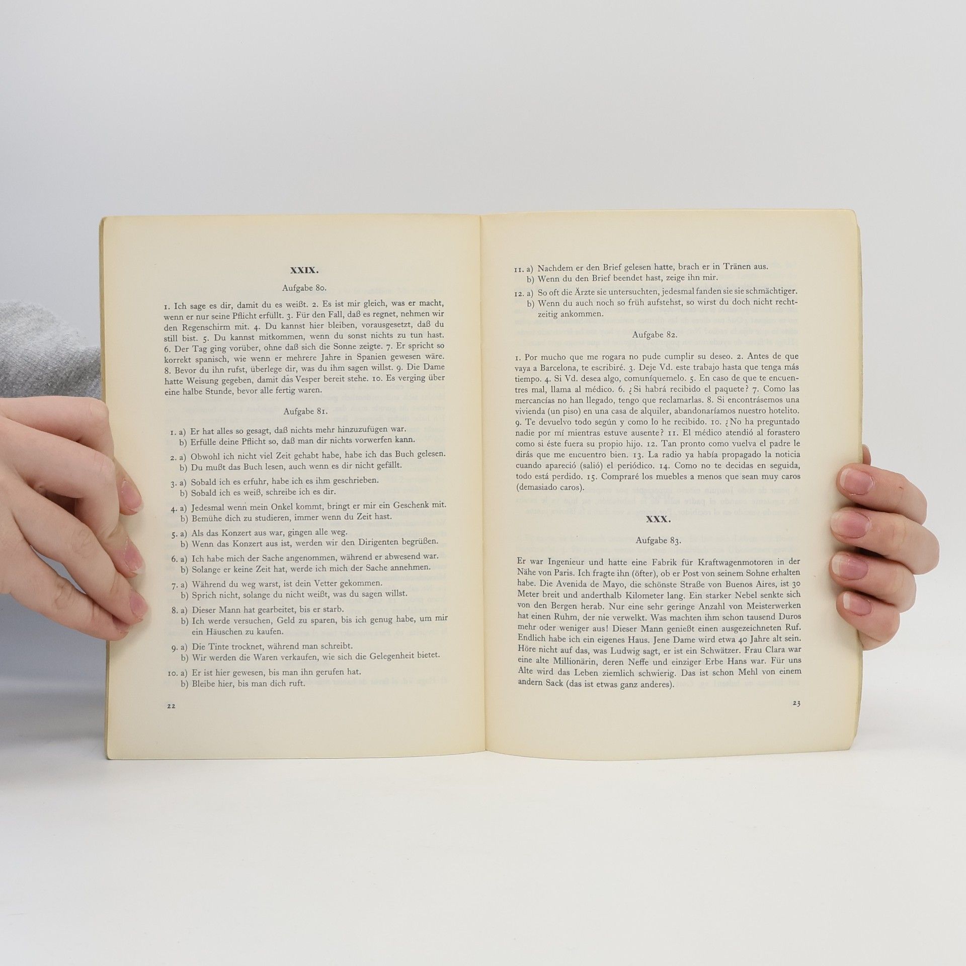 Gerhard Lepiorz Weltsprache Spanisch