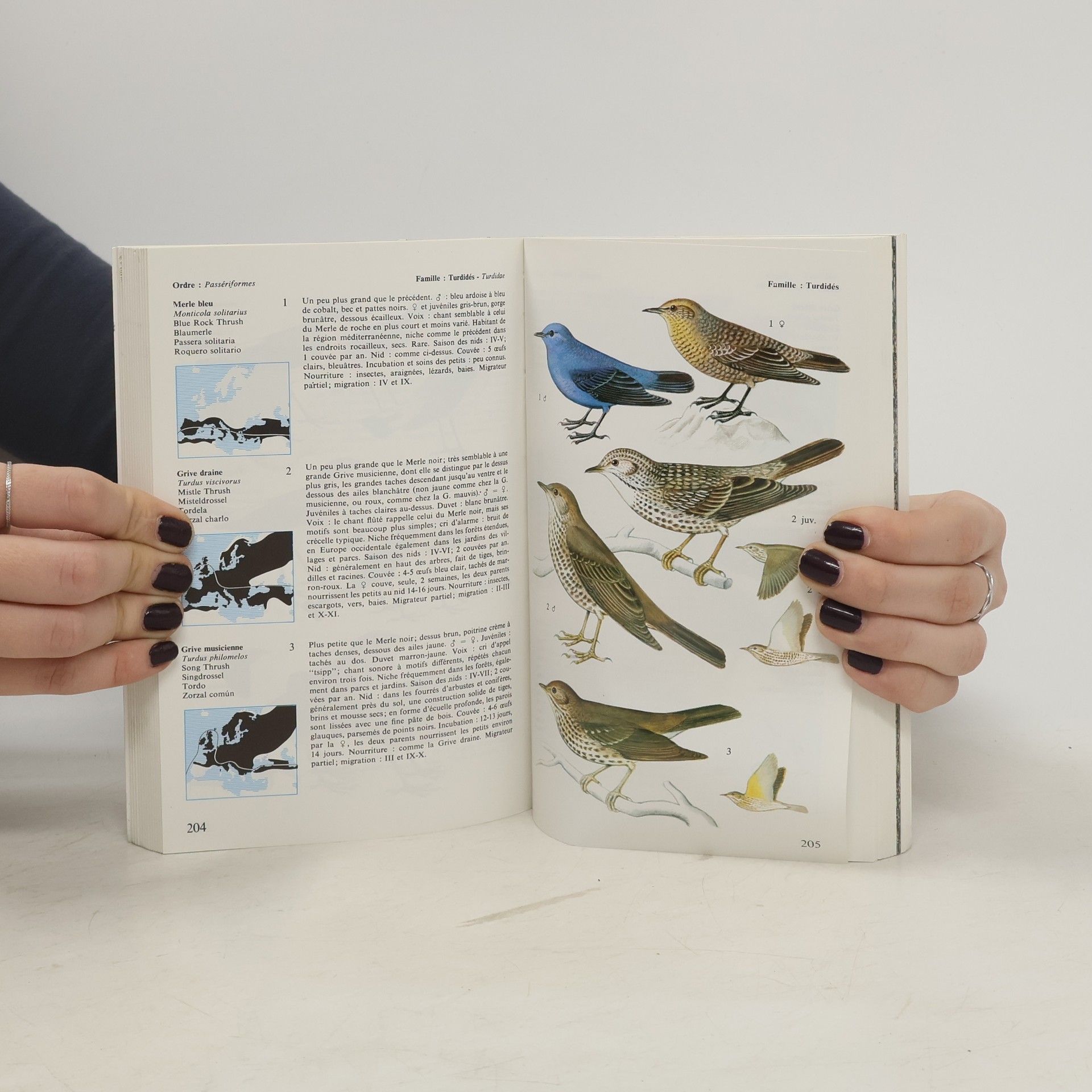 W. Cerny Quel est donc cet oiseau?
