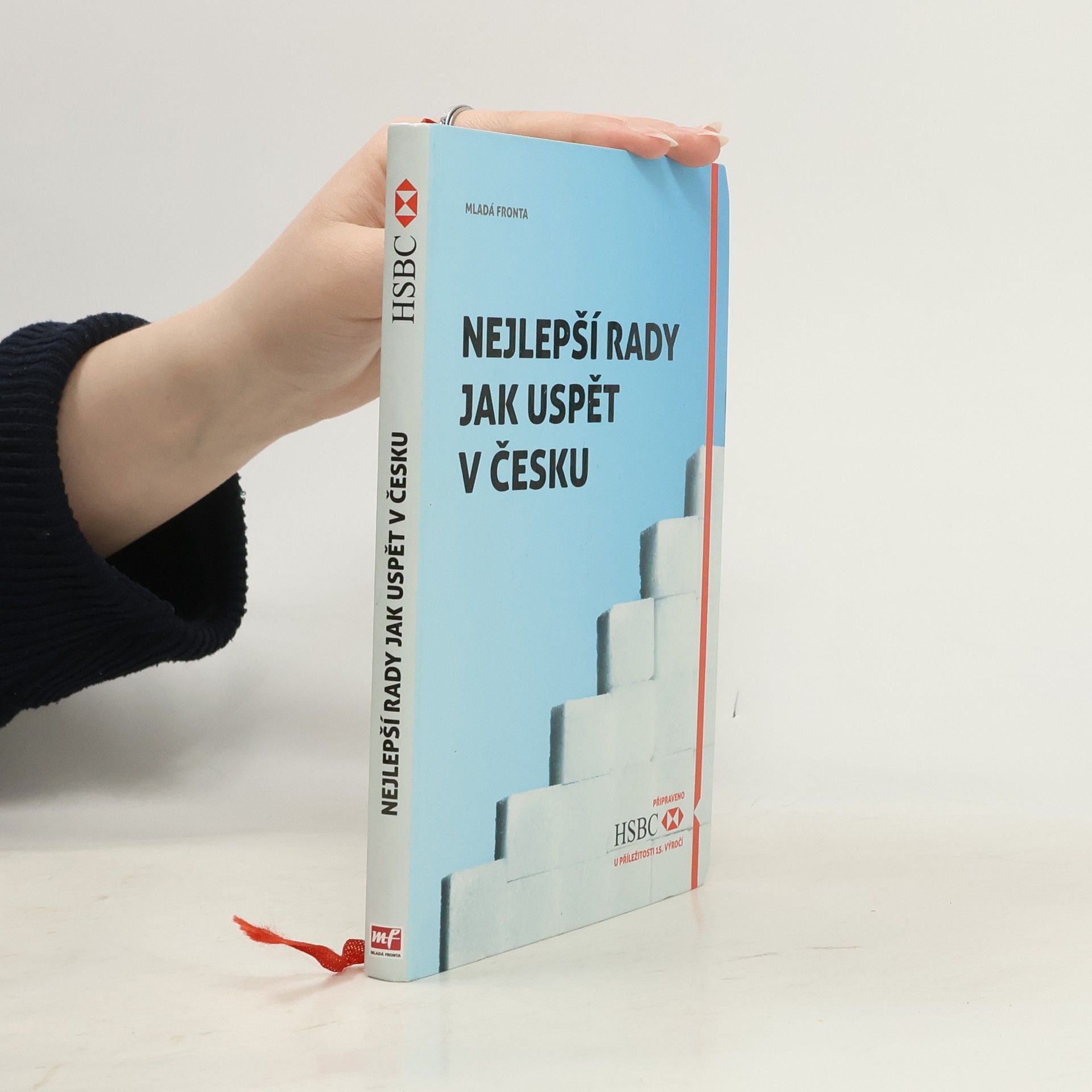 Autorenkollektiv Nejlepší rady jak uspět v Česku