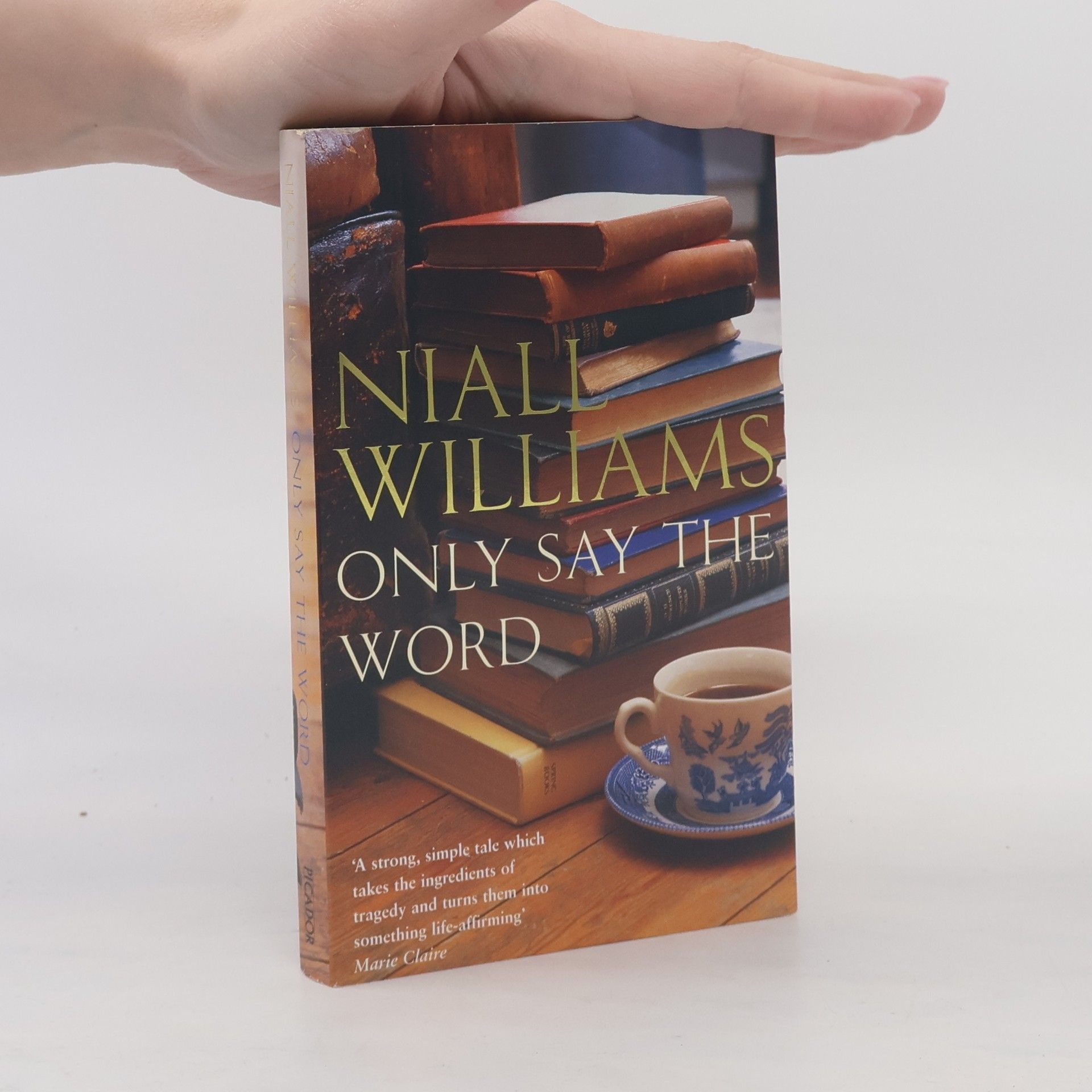 Niall Williams Only Say the Word