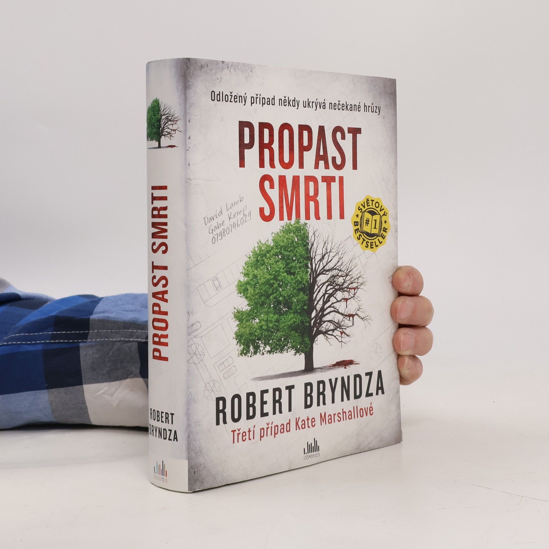 Robert Bryndza Propast smrti