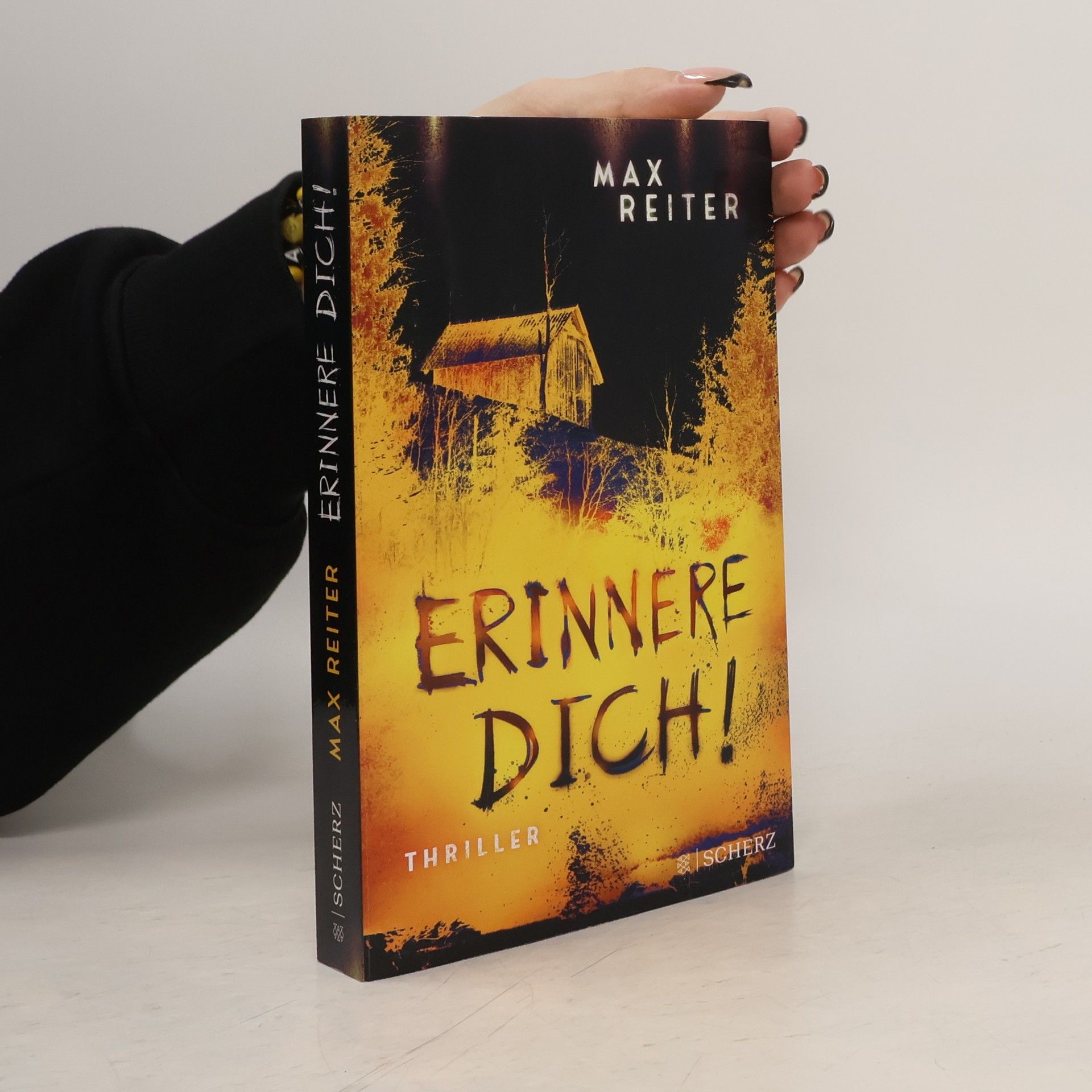 Max Reiter Erinnere dich!