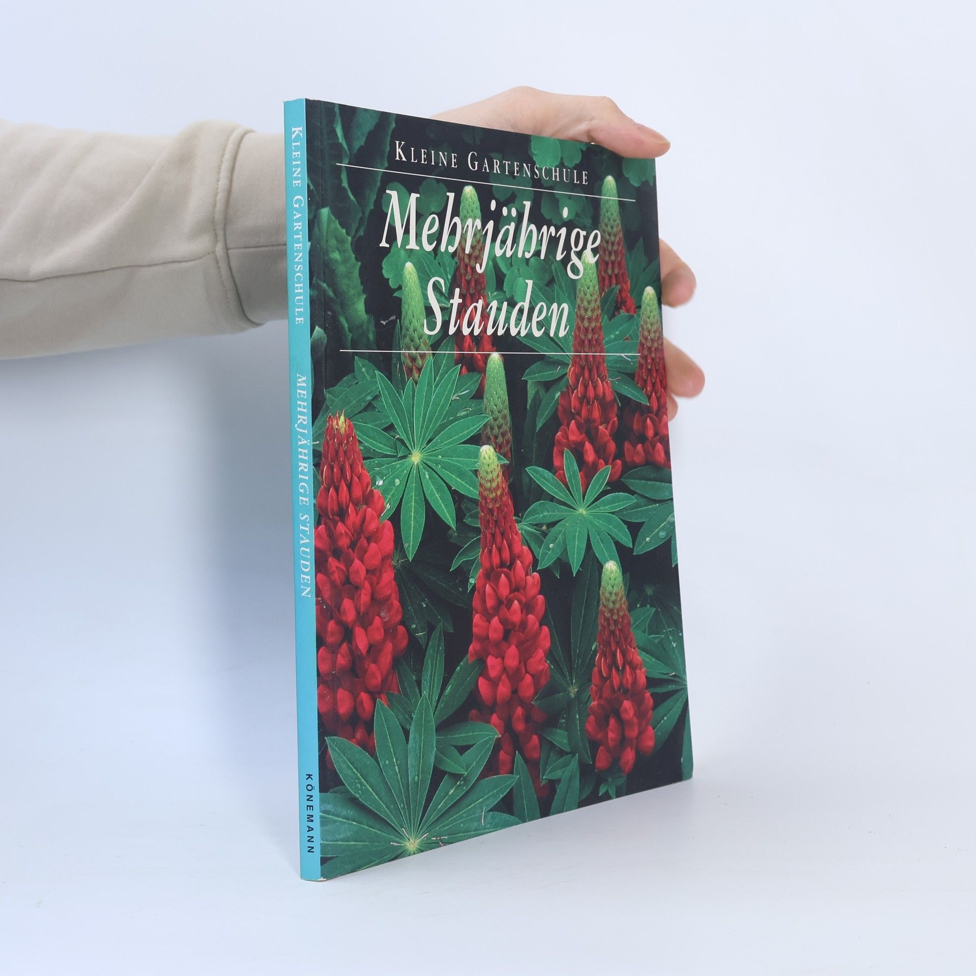 Richard Rosenfeld Mehrjährige Stauden