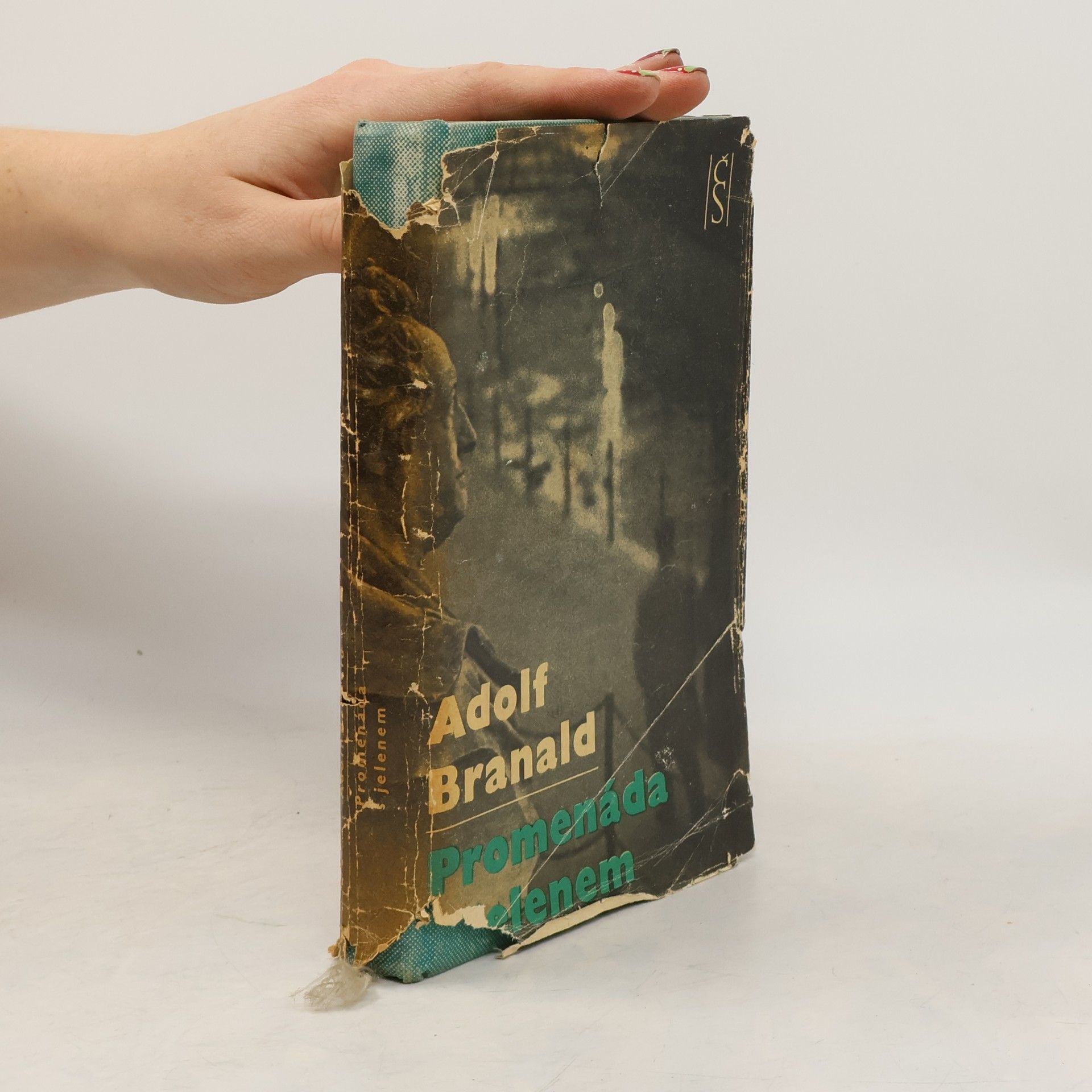 Promenáda s jelenem