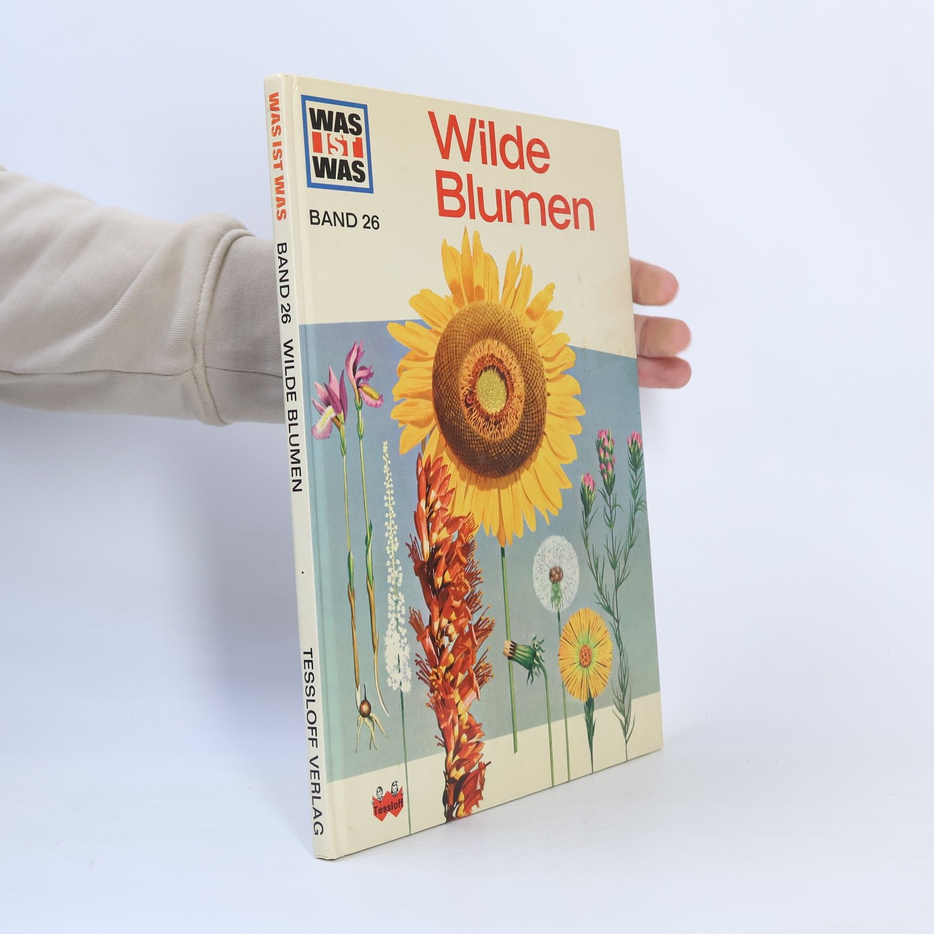 Andreas Zeugner Wilde Blumen 26