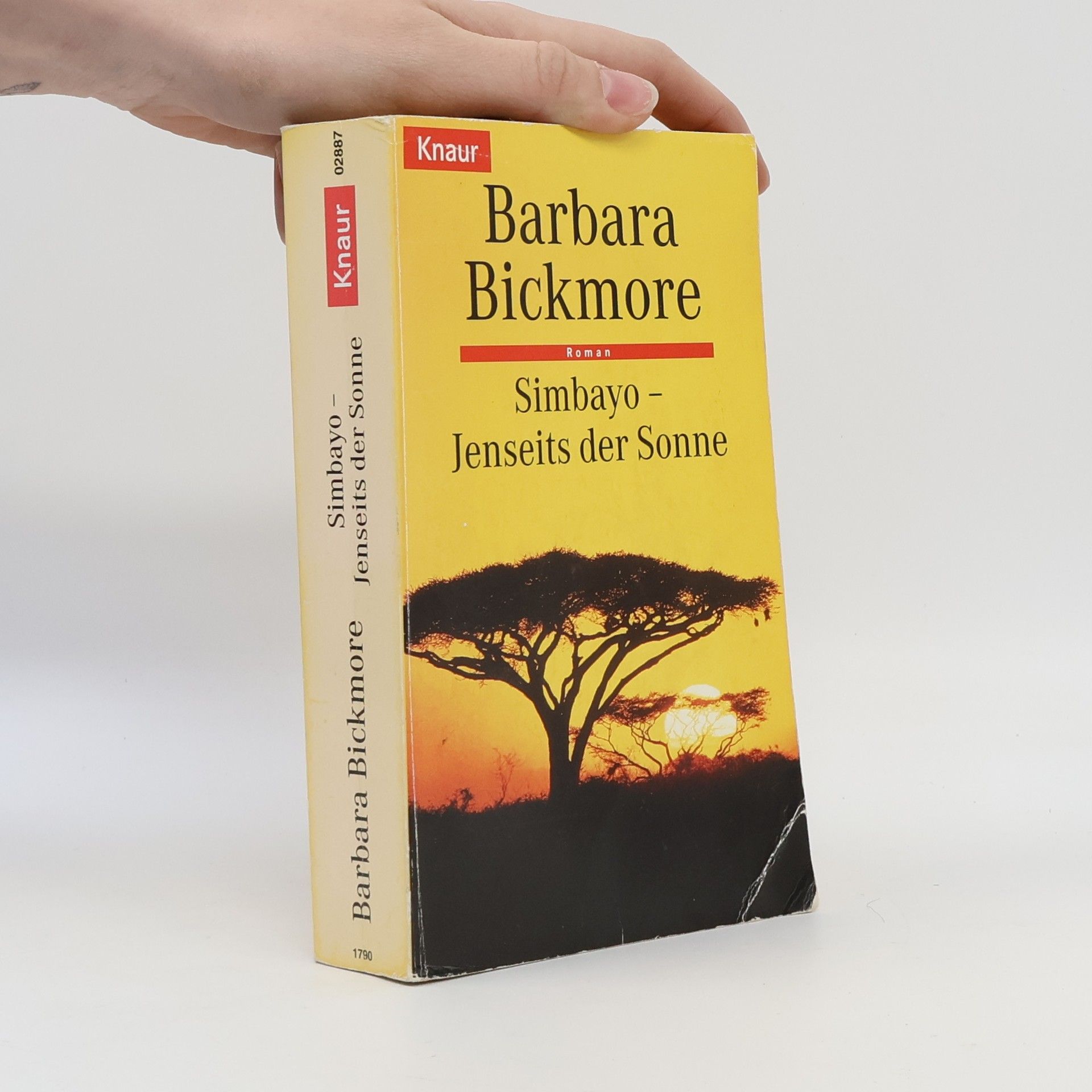 Barbara Bickmore Simbayo - Jenseits der Sonne