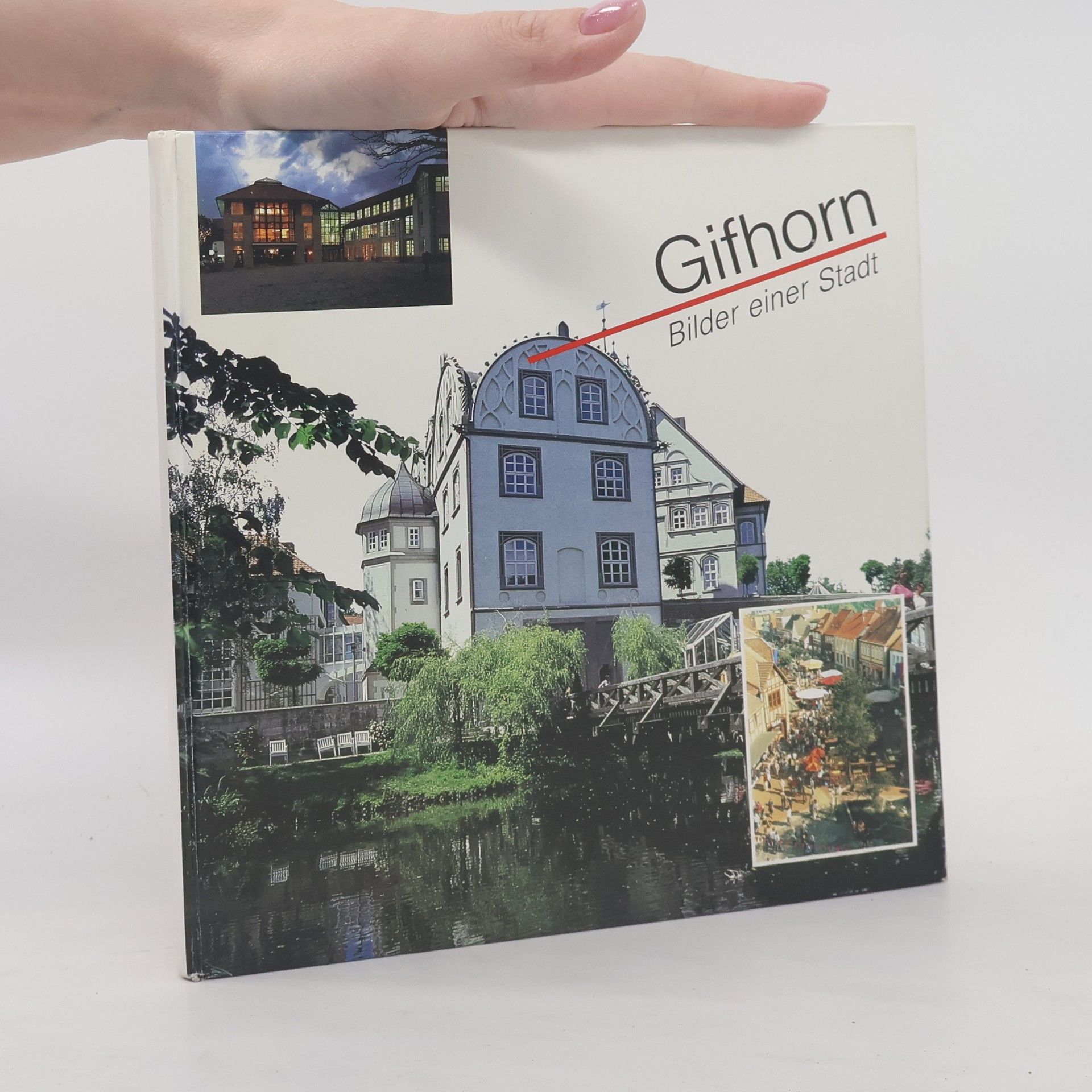 Various authors Gifhorn. Bilder einer Stadt