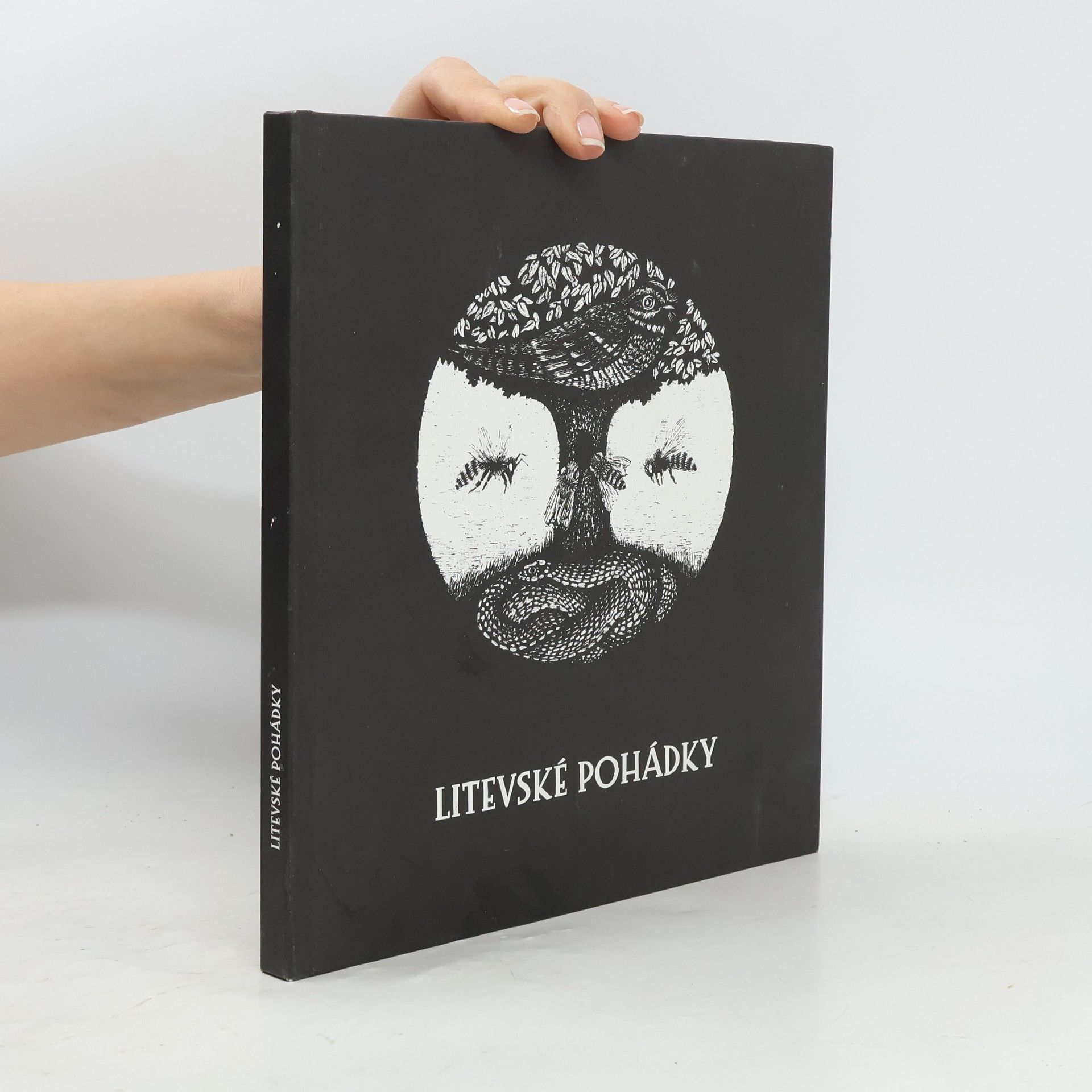 Kolektiv autorů Litevské pohádky