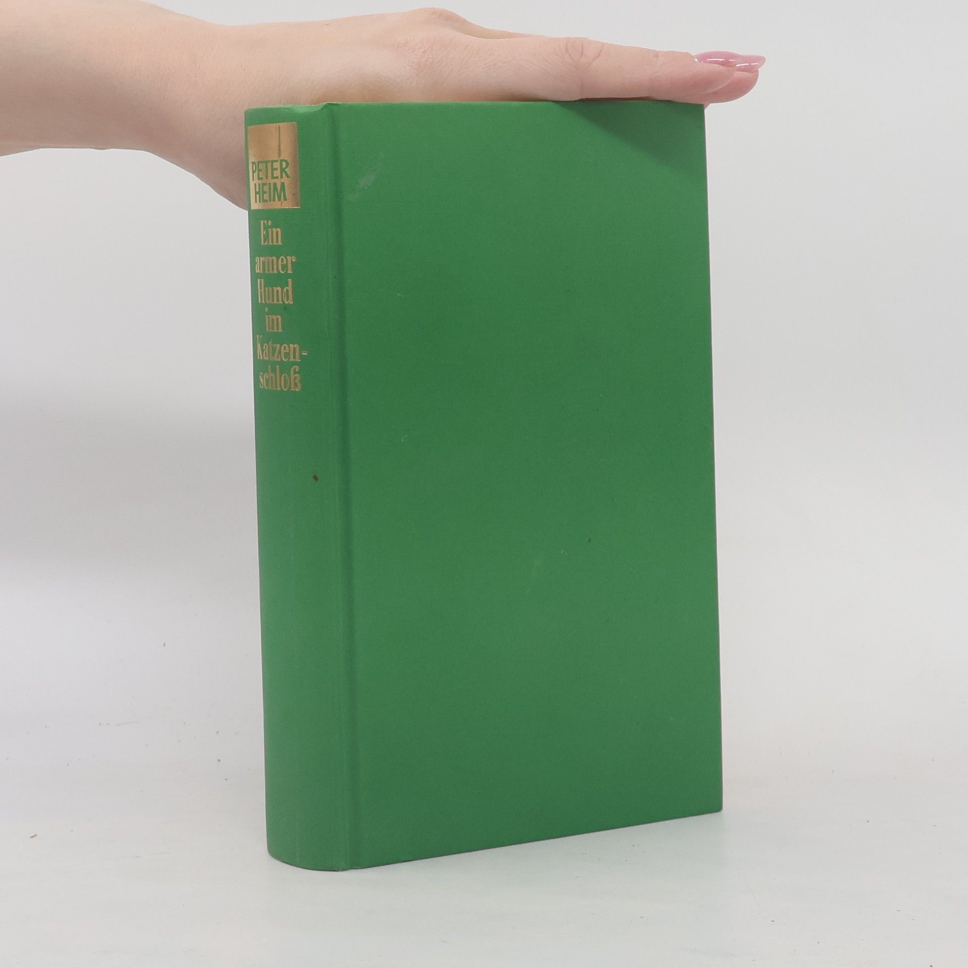 Hans-Peter Heim Ein armer Hund im Katzenschloß