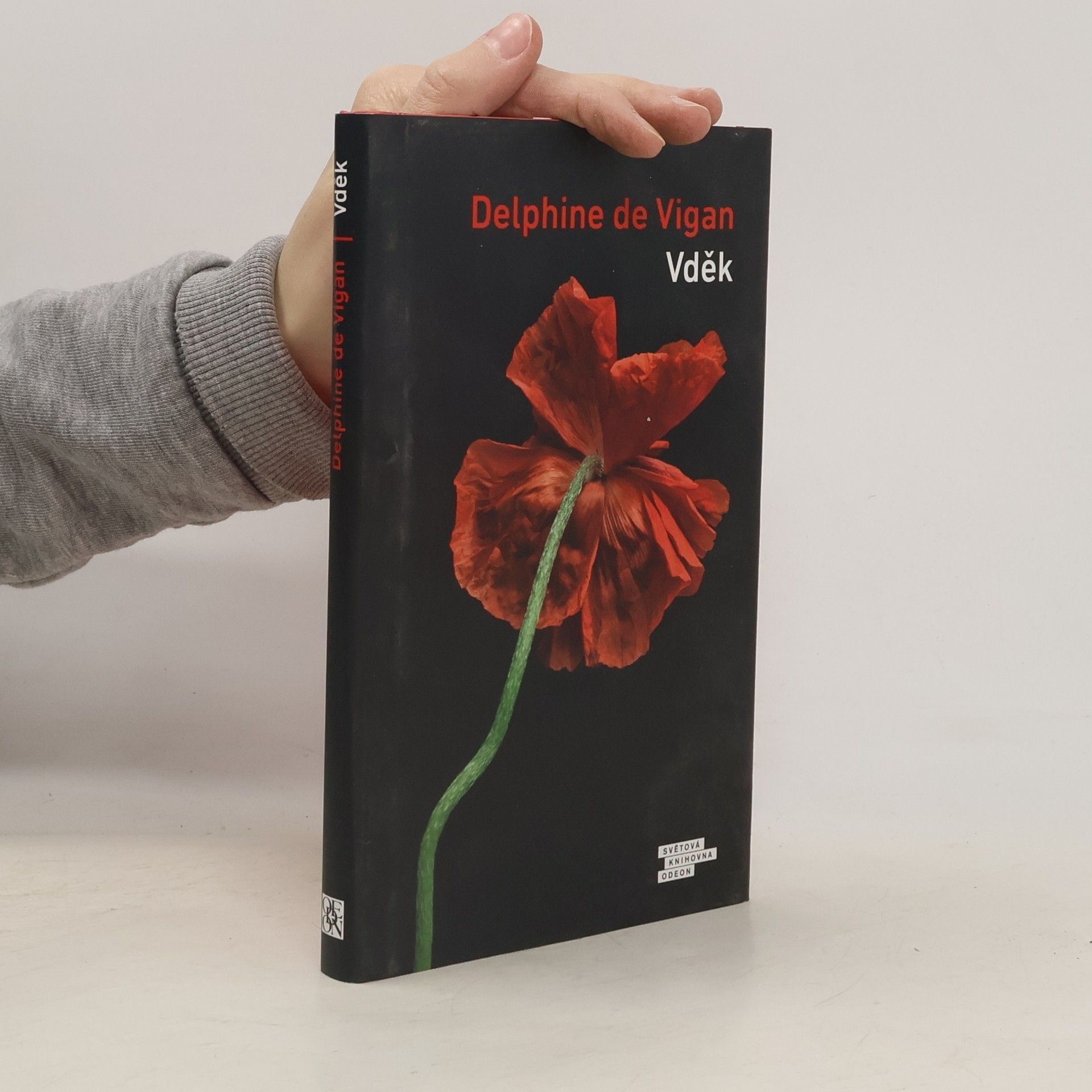 Delphine de Vigan Vděk