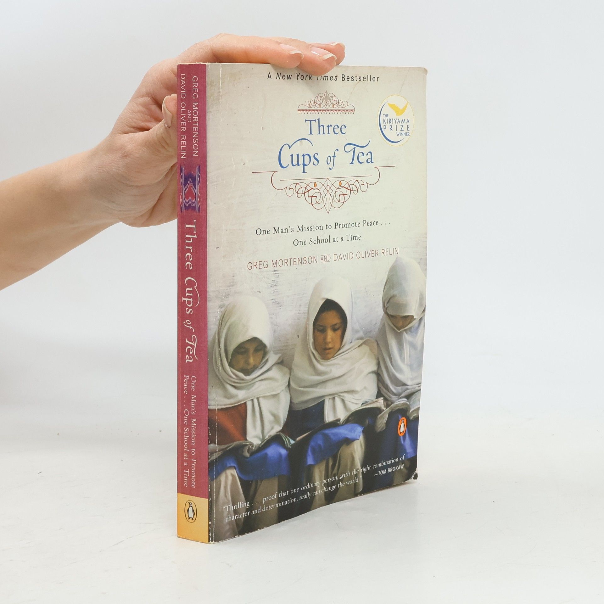 Greg Mortenson Three Cups of Tea