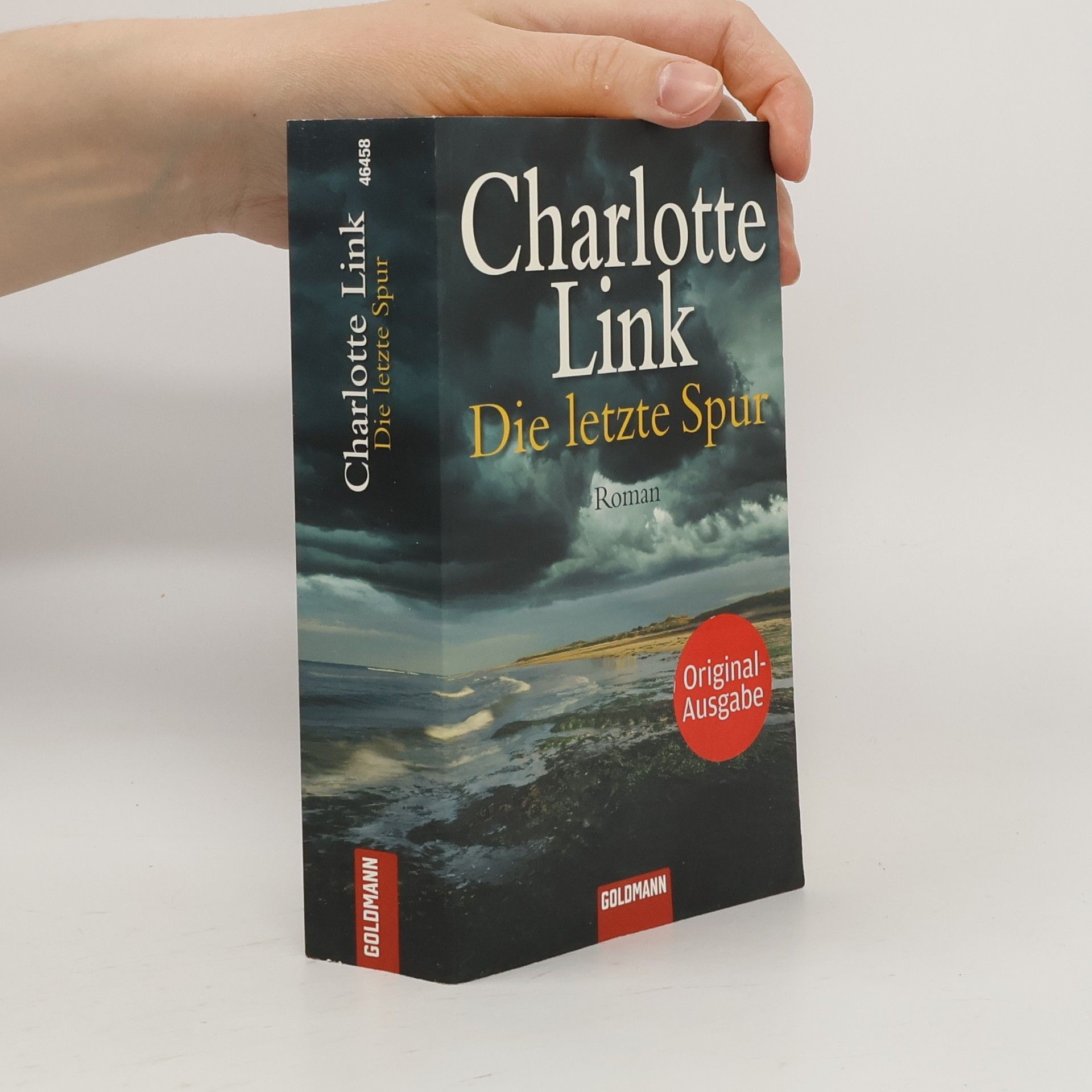Charlotte Link Die letzte Spur