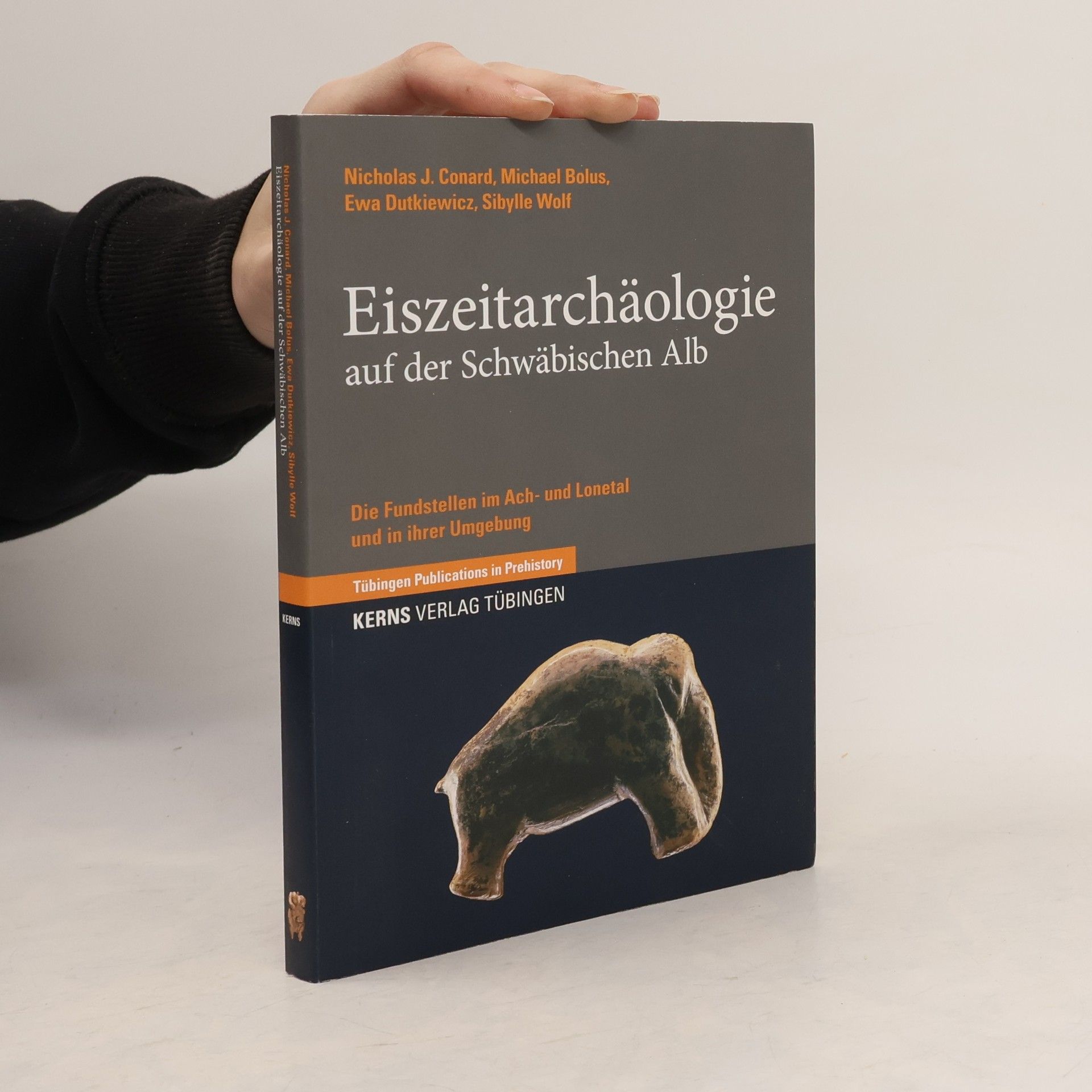 Tübingen Publications in Prehistory: Eiszeitarchäologie auf der Schwäbischen Alb