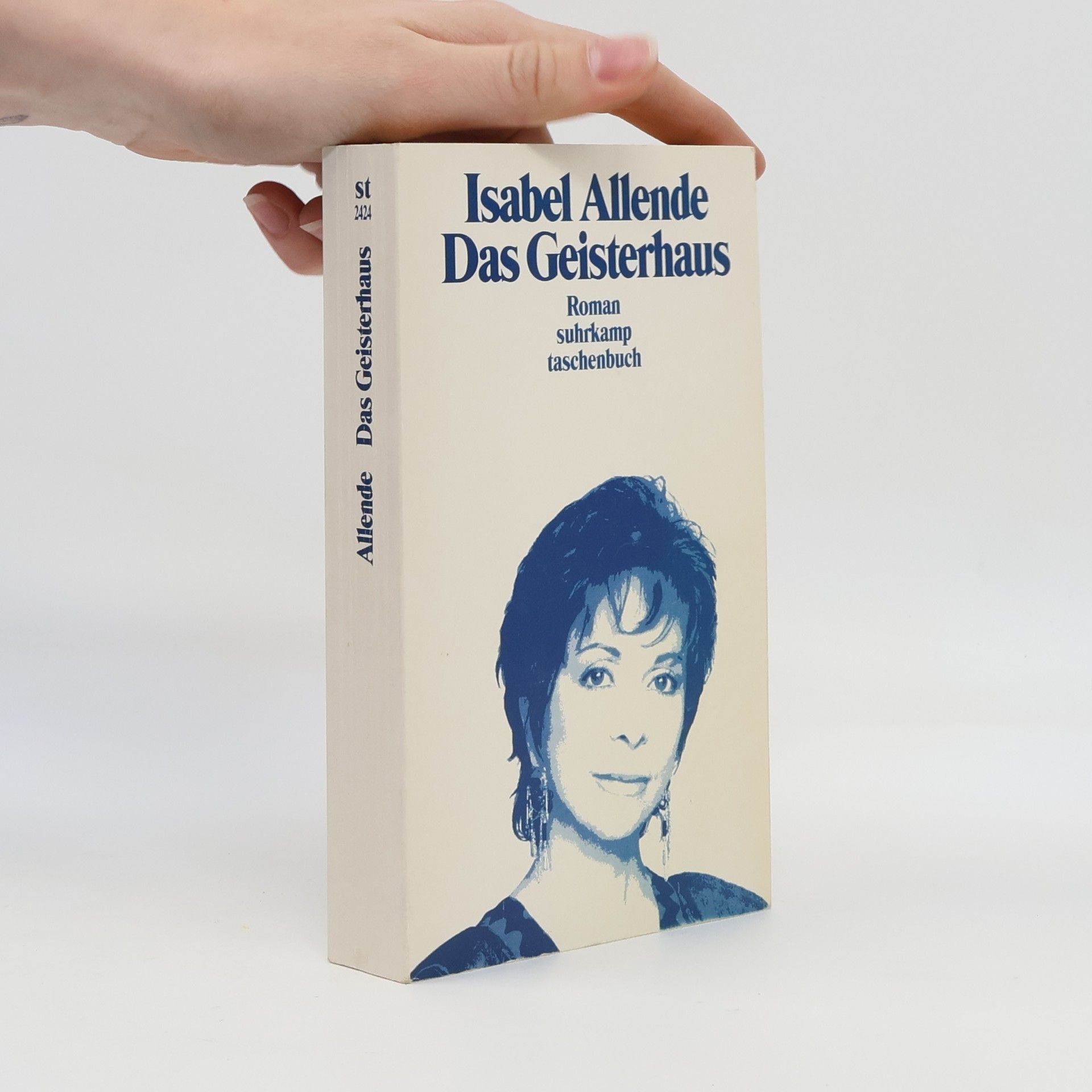 Isabel Allende Llona Das Geisterhaus