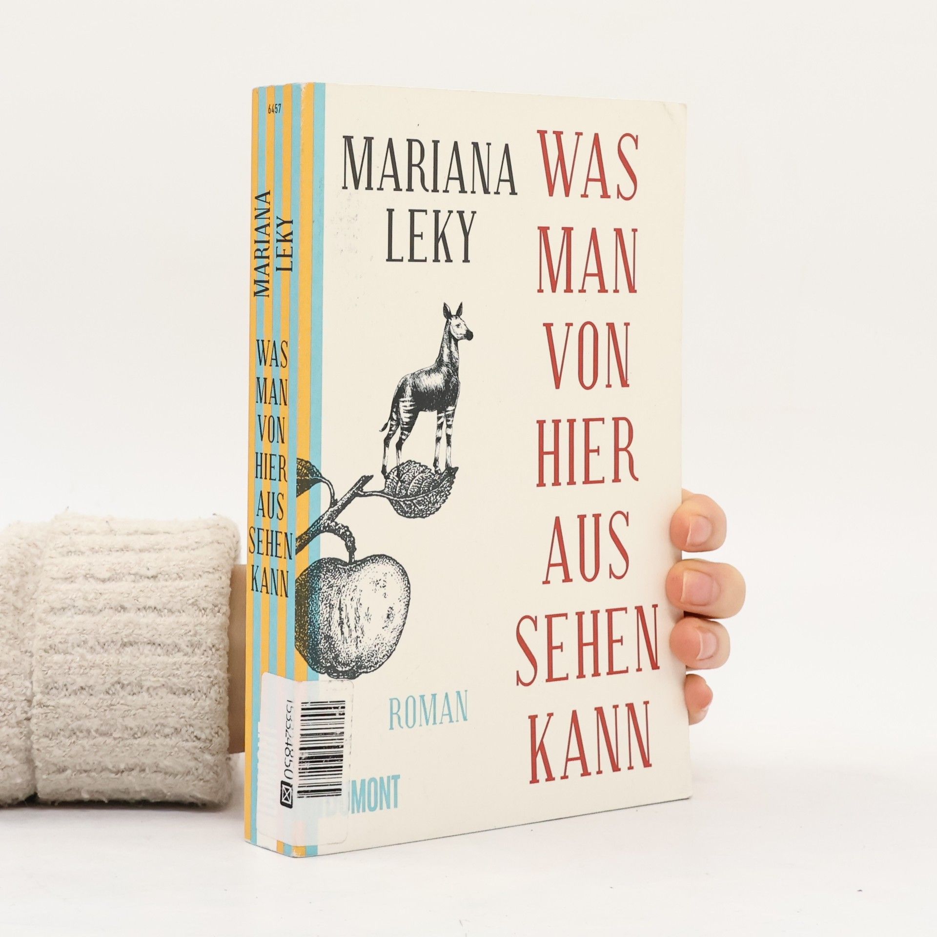 Mariana Leky Was man von hier aus sehen kann