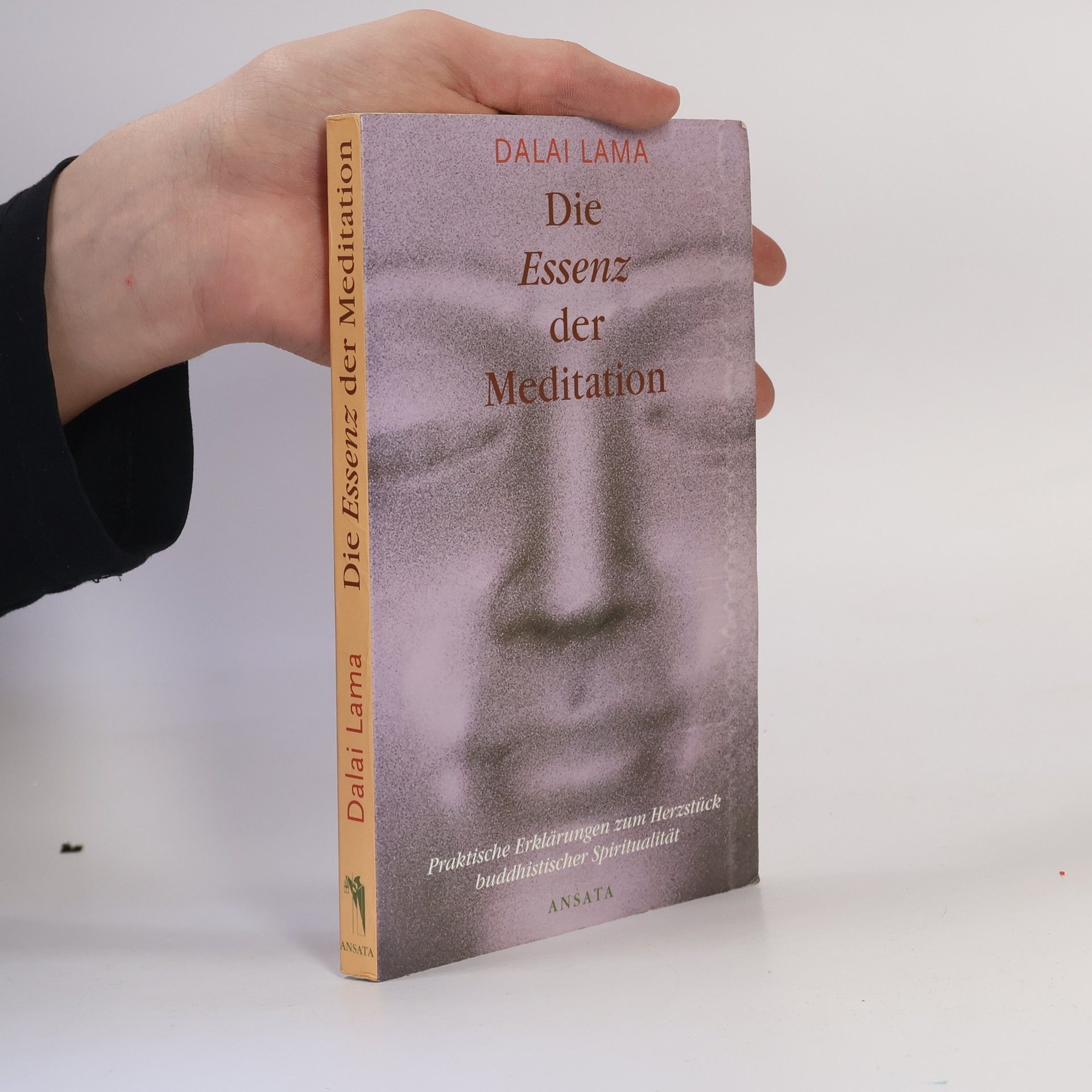 Dalaï-Lama Die Essenz der Meditation