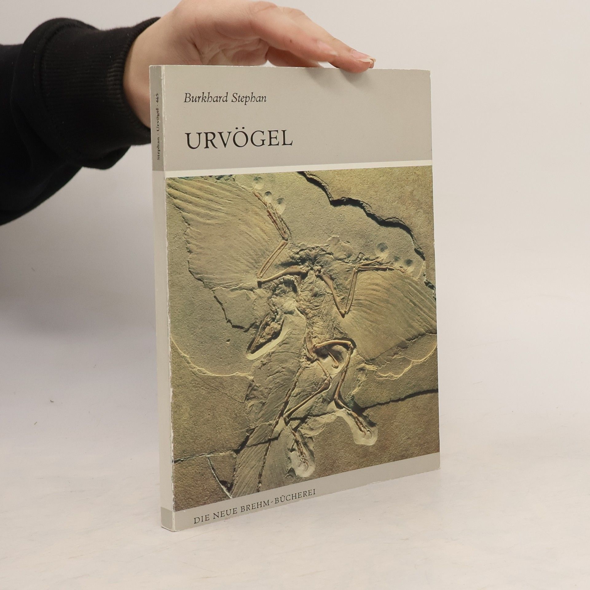 Urvögel