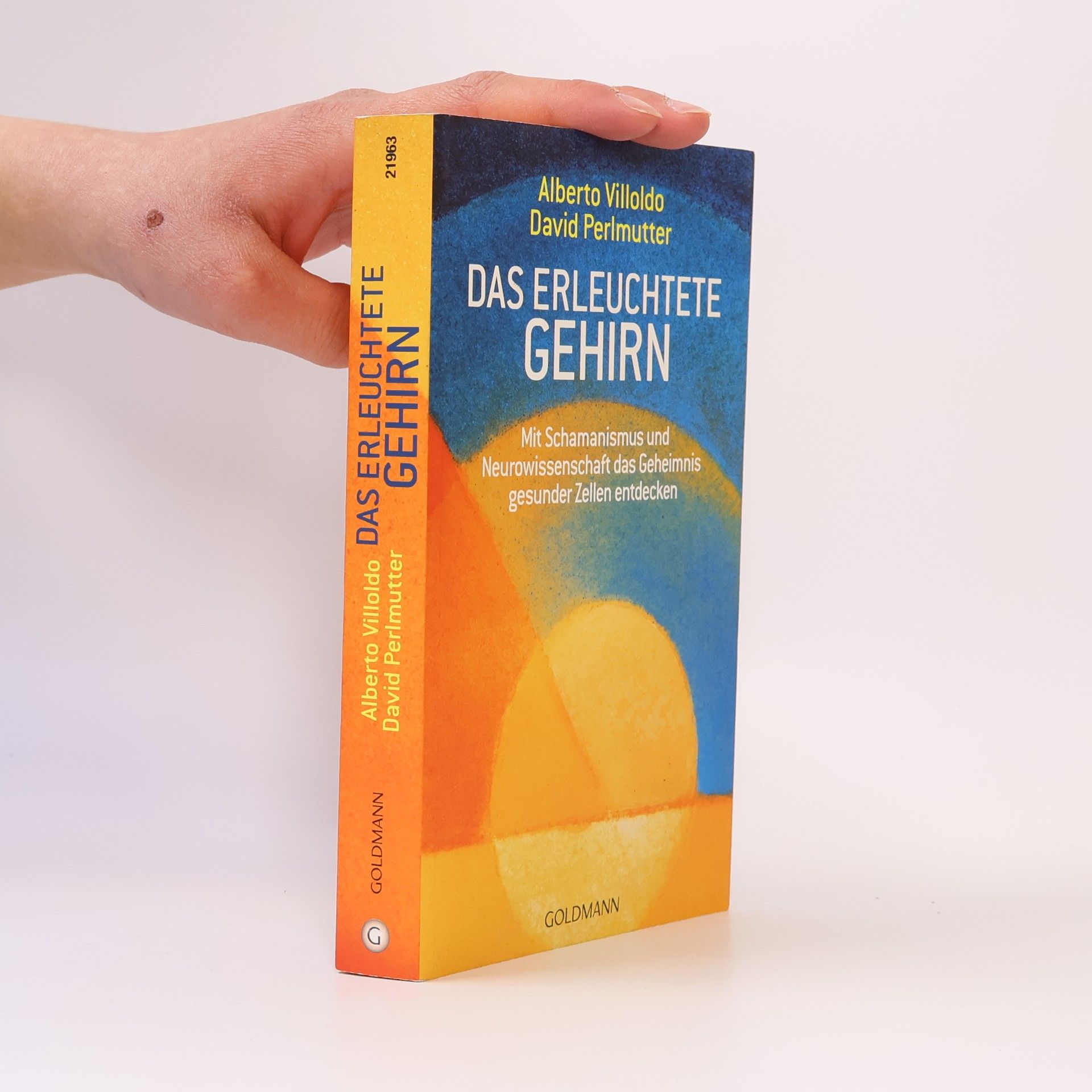 Alberto Villoldo Das erleuchtete Gehirn