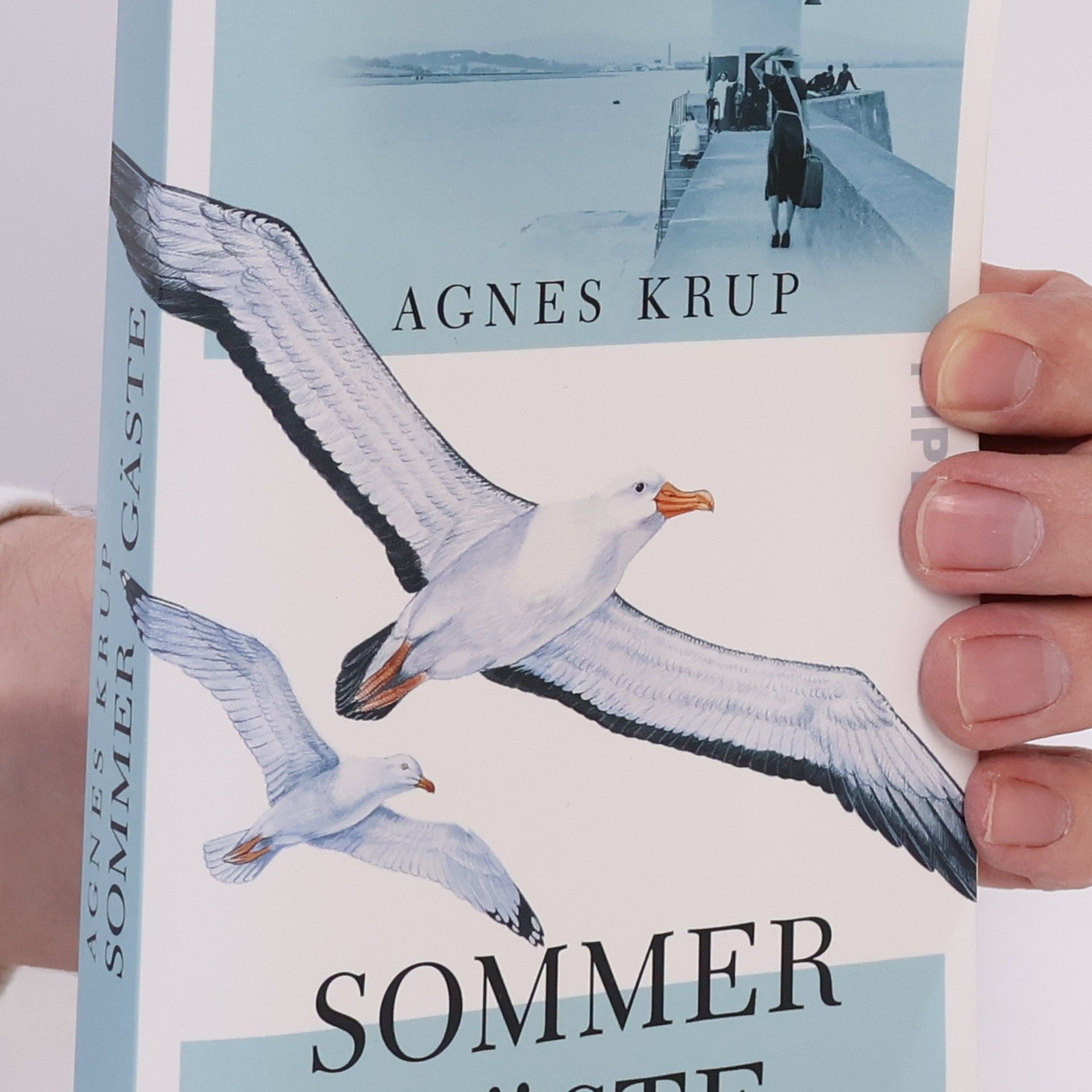 Agnes Krup Sommergäste