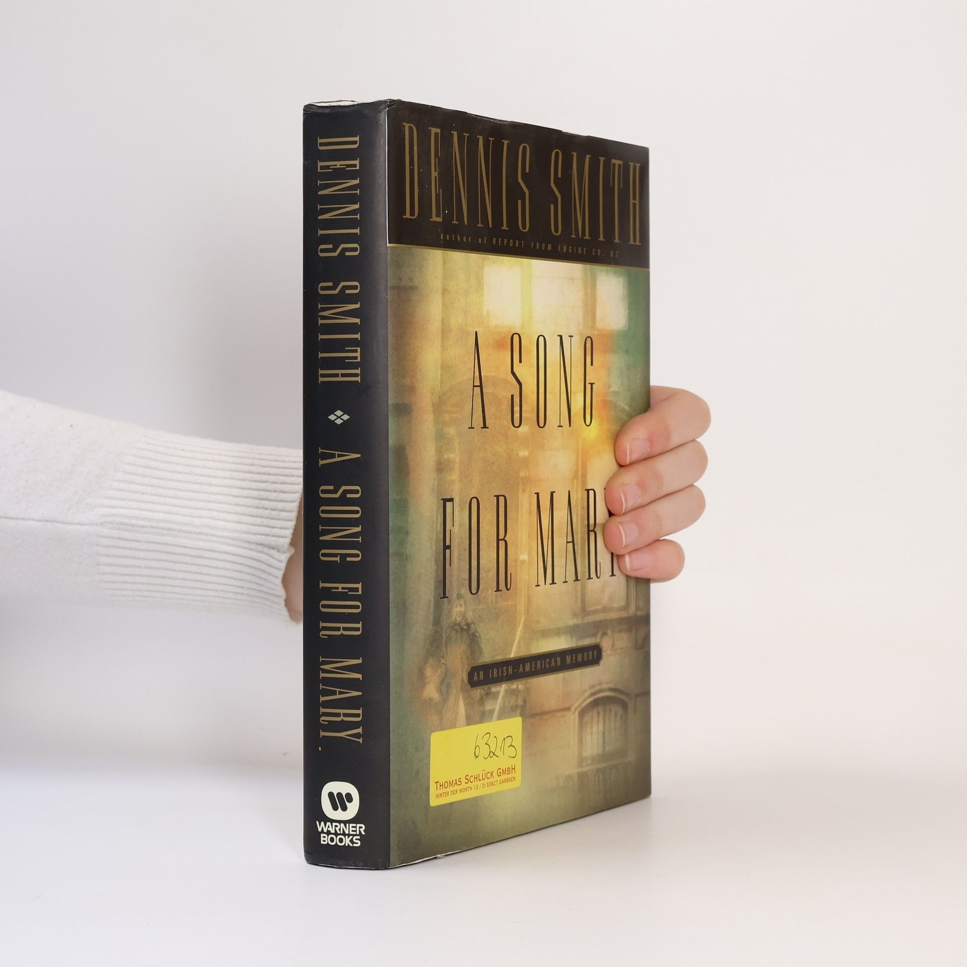 Dennis Smith A Song for Mary