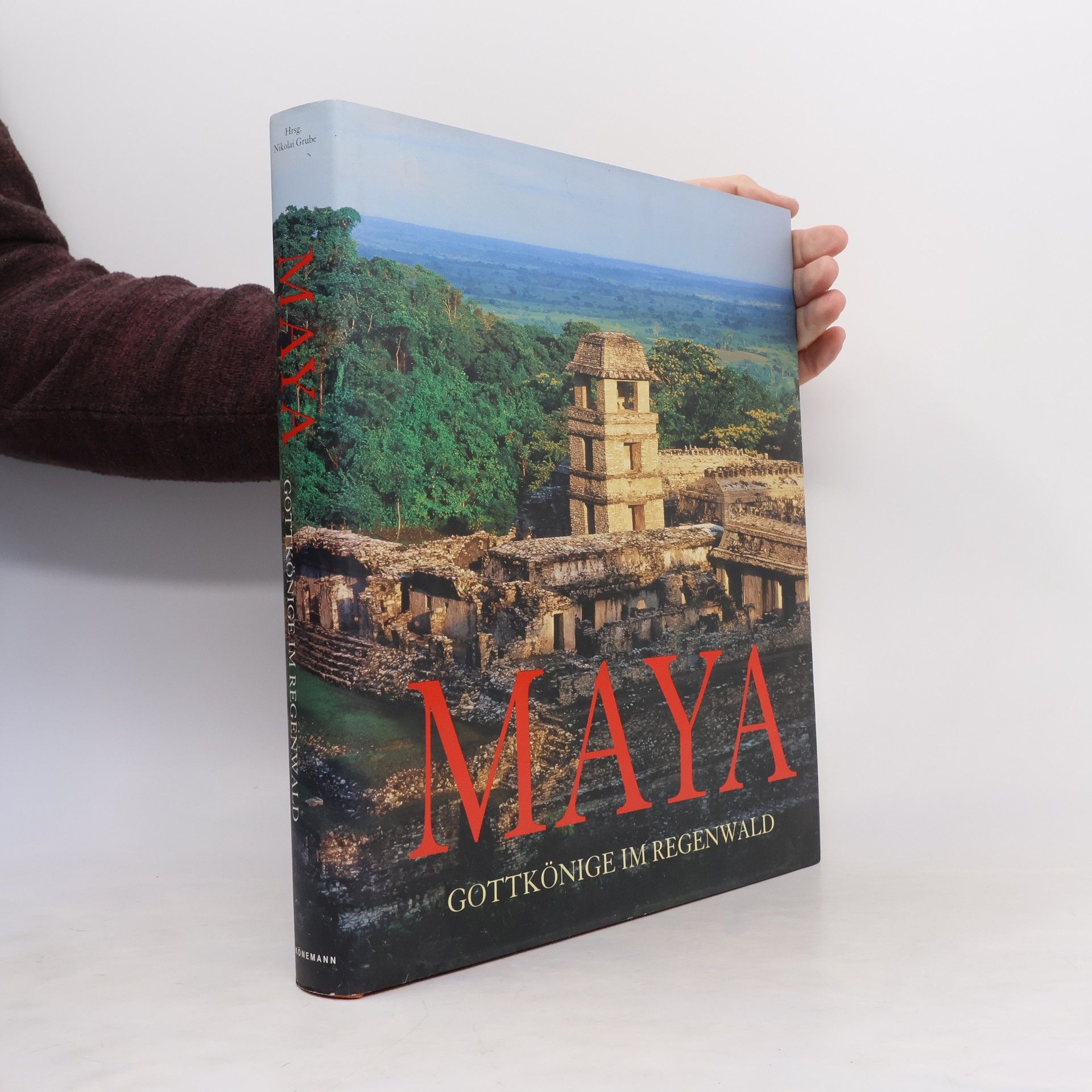 Nikolai Grube Maya. Gottkönige im Regenwald