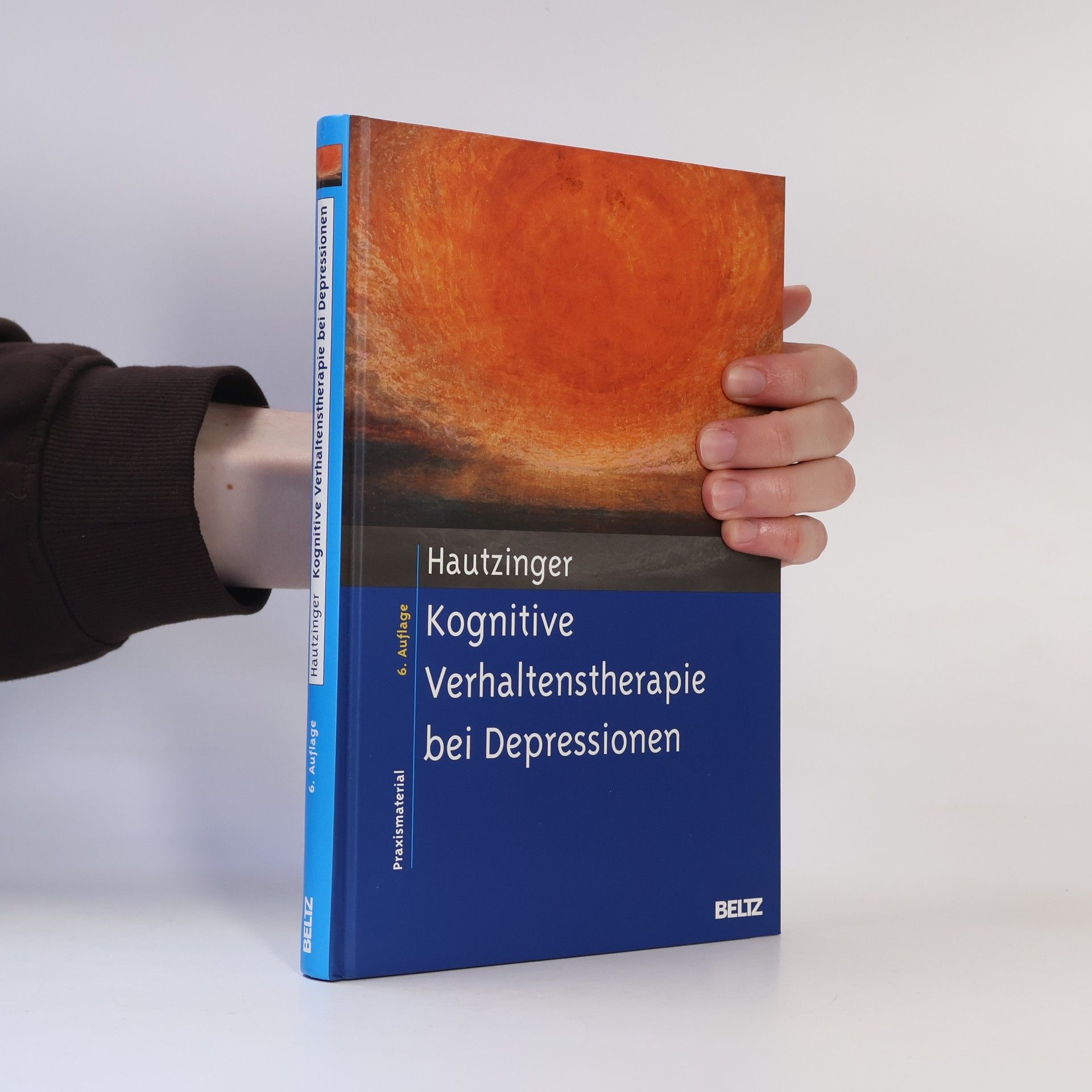 Kognitive Verhaltenstherapie bei Depressionen - 6. Auflage