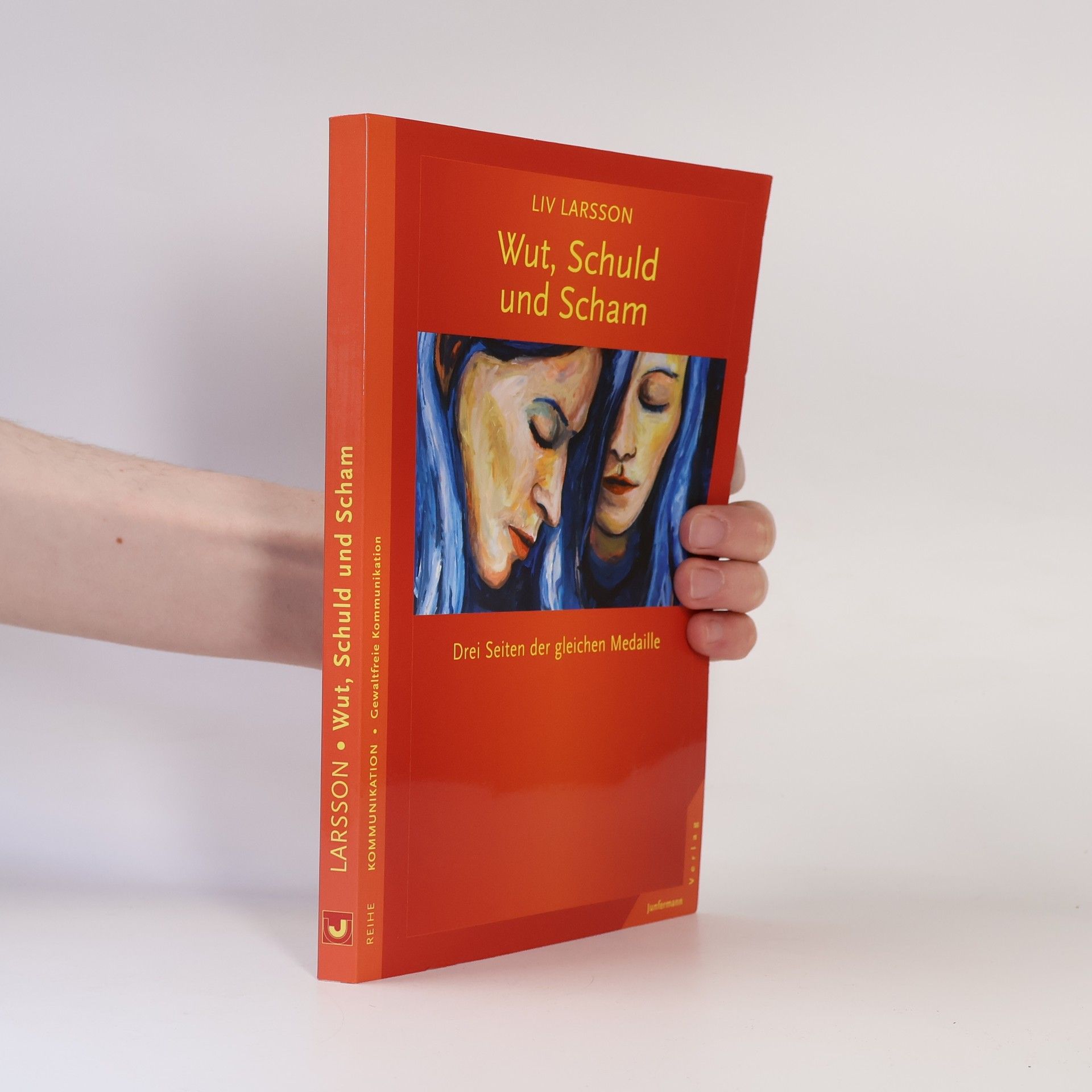 Liv Larsson Wut, Schuld und Scham