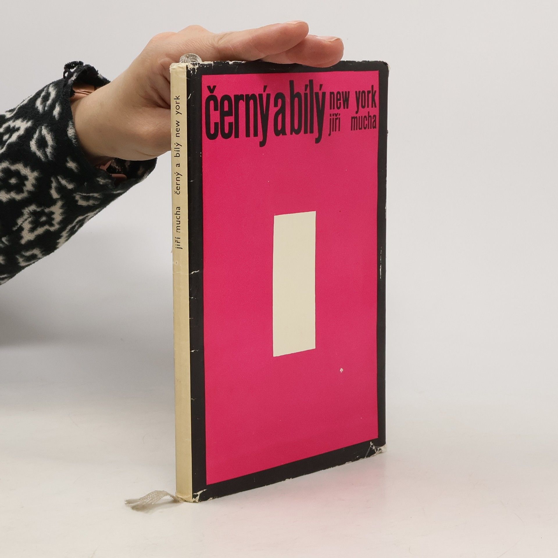 Jiří Mucha Černý a bílý New York